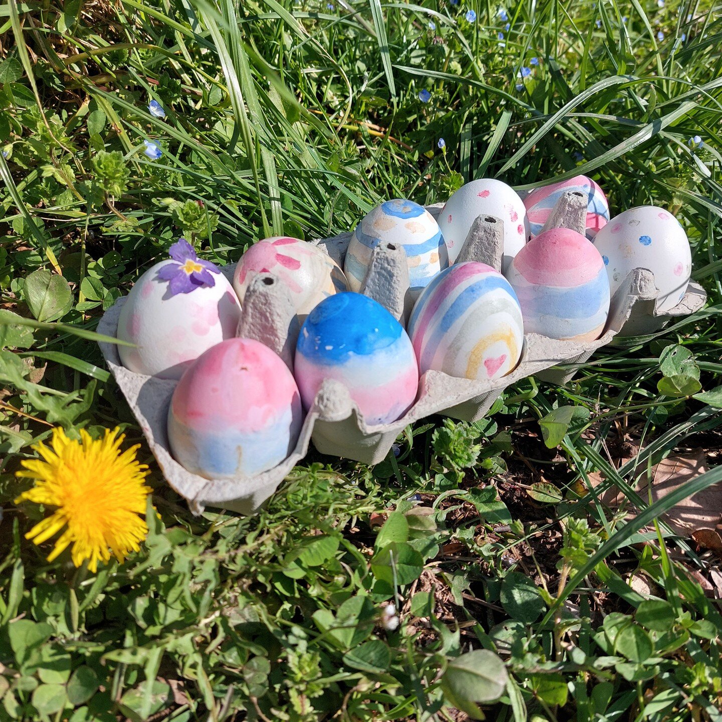 Frohe Ostern! 🐇

#ostern #waldschule #forestschool #ostereierbemalen #fr&uuml;hling