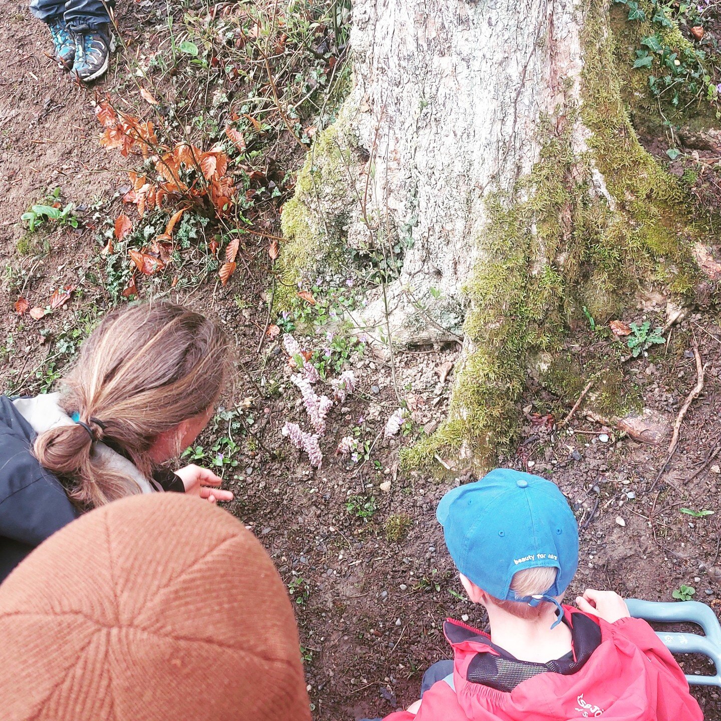 Im Fr&uuml;hling hat der Wald hat so viele &Uuml;berraschungen f&uuml;r uns bereit! 🌱 🌿

Heute lernten wir &uuml;ber die Schmarotzerpflanze Schuppenwurz, die selber fast ganz ohne Chlorophyll auskommt. 🔍👧🏻🧒🏼

Und da es w&auml;rmer ist, basteln