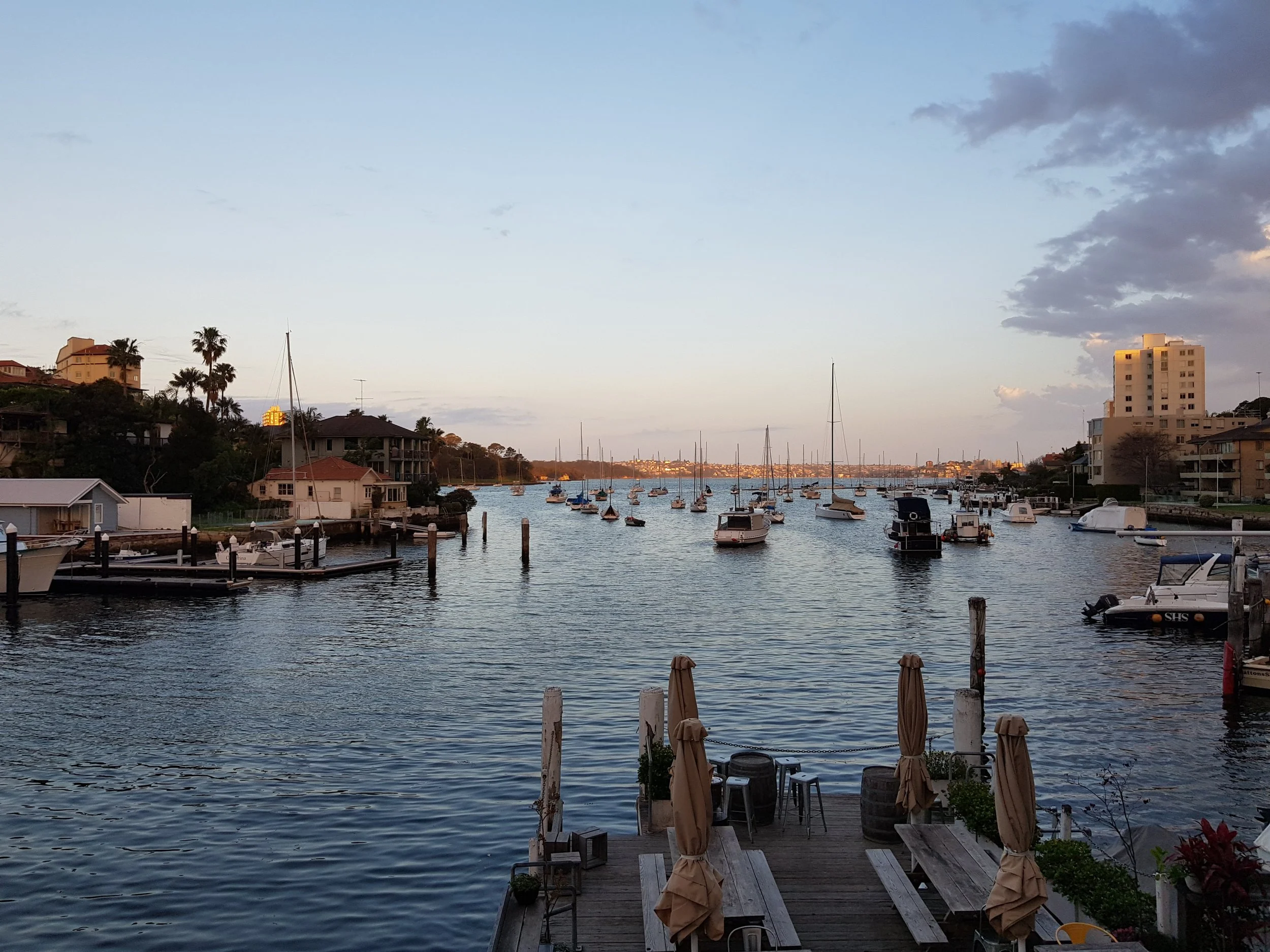 Careening_cove_dusk2.jpg