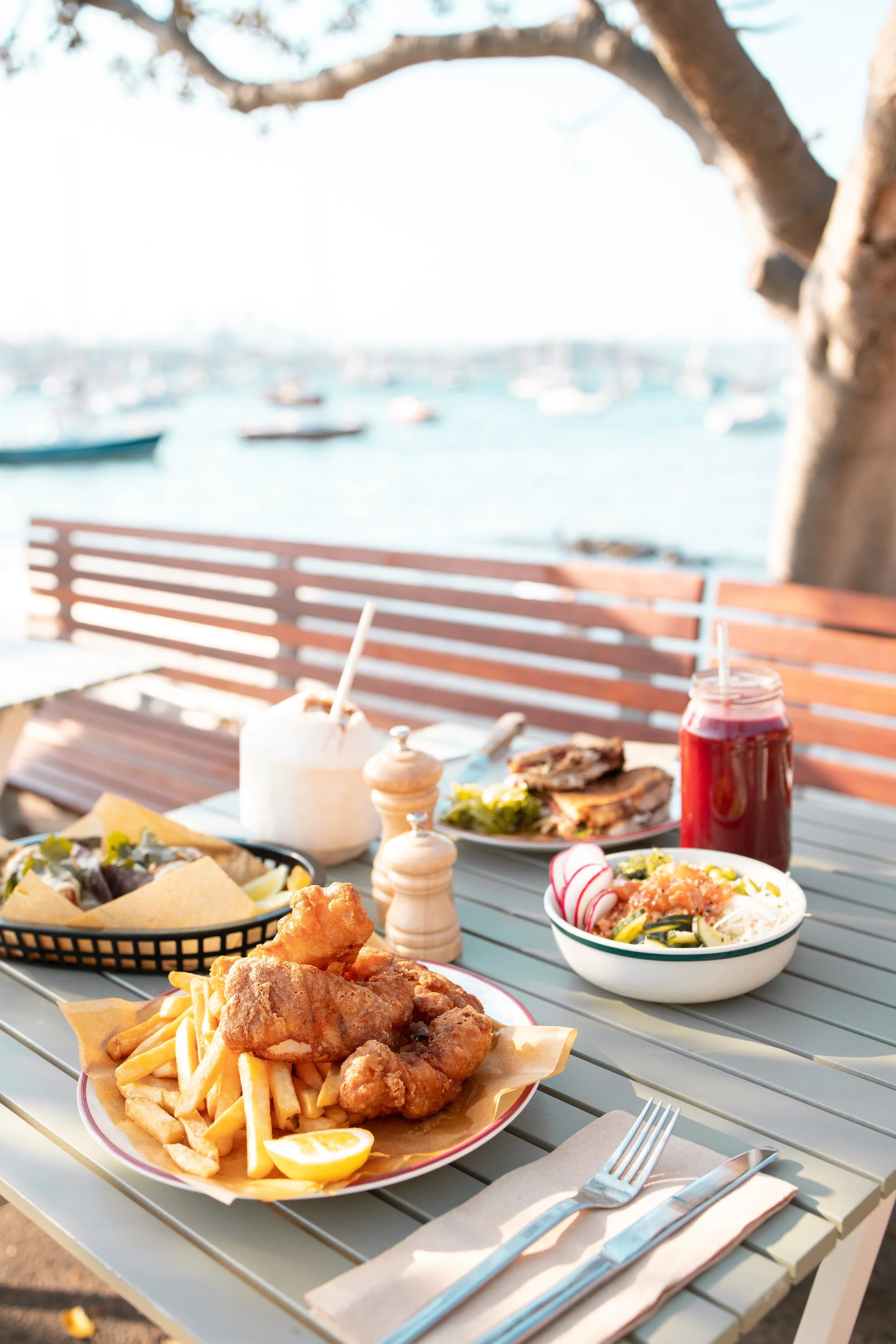 Outdoor_feast_tree.jpg