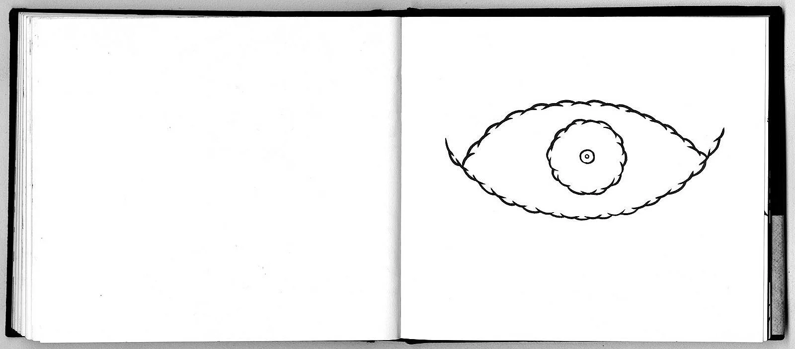 w48.jpg