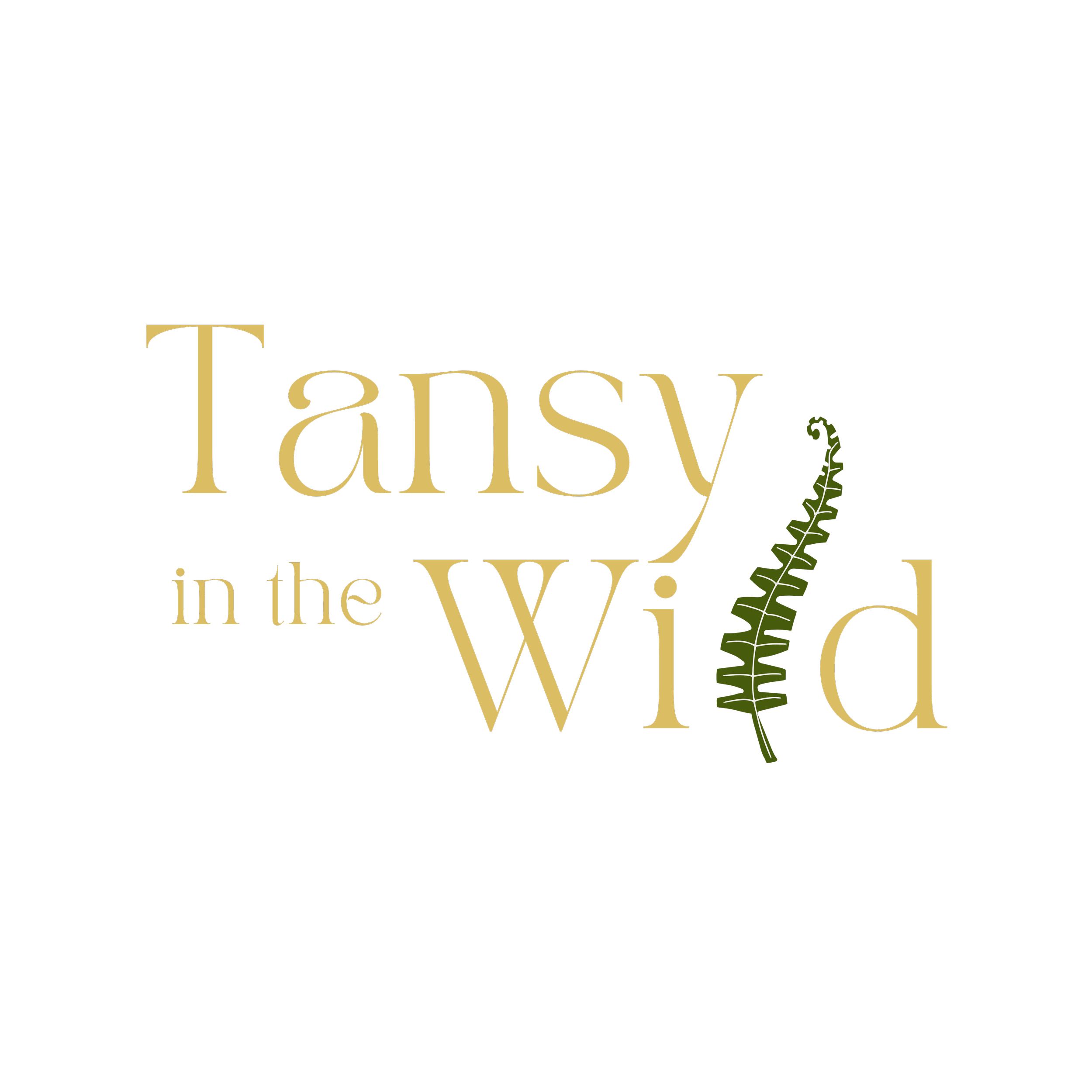 tansy ideas-3_1.png