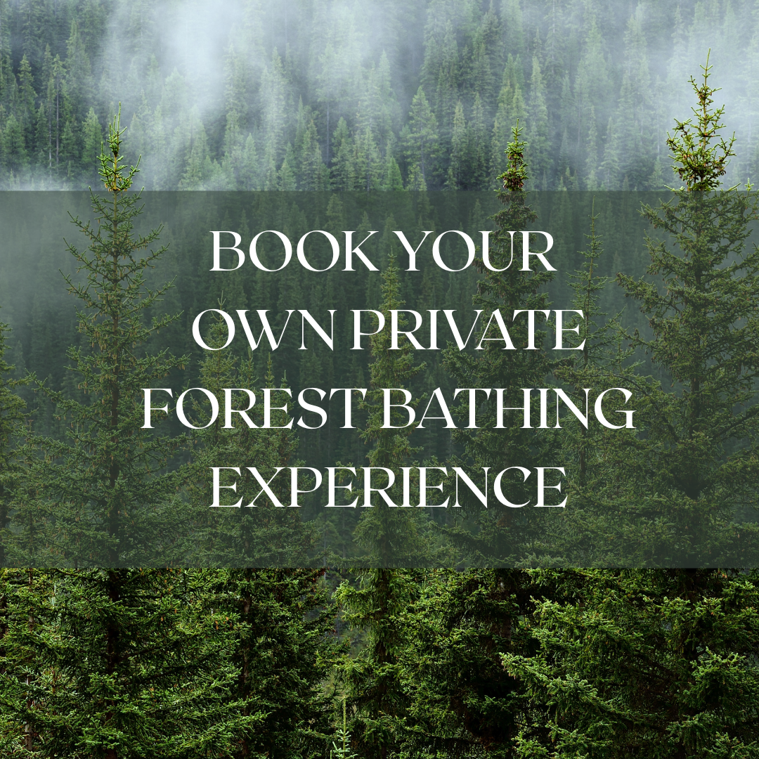<span class="sqsrte-text-color--accent">PRIVATE FOREST BATHING &amp; MINDFUL WALKING EXPERIENCES FOR 1-TO-8 PEOPLE</span>