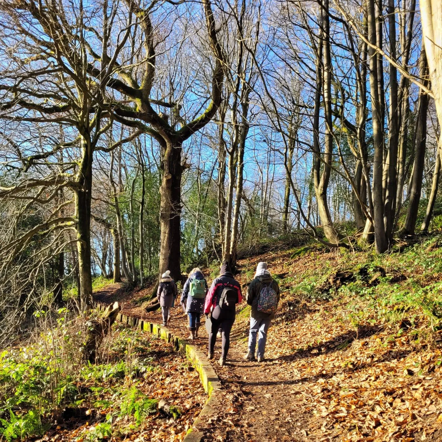 New Year Mindful Intention Setting Walk &amp; Firepit Circle
