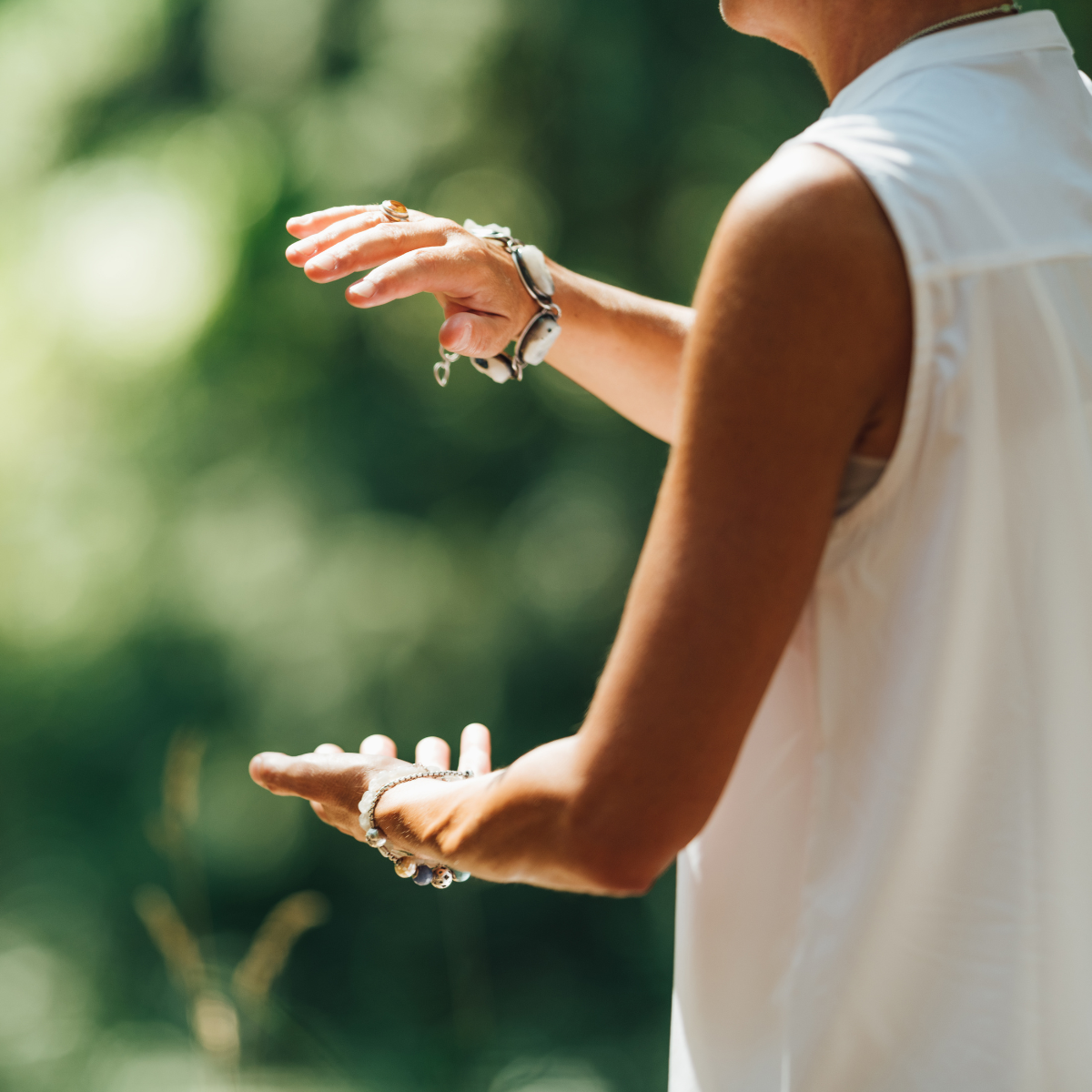 SUMMER SOLSTICE QIGONG AND FOREST BATHING