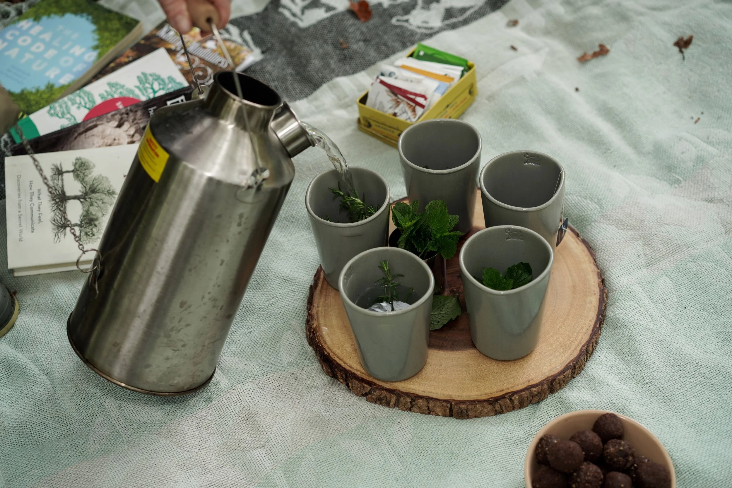 Tansy in the Wild - Tea Ceremony - Forest Bathing .jpg