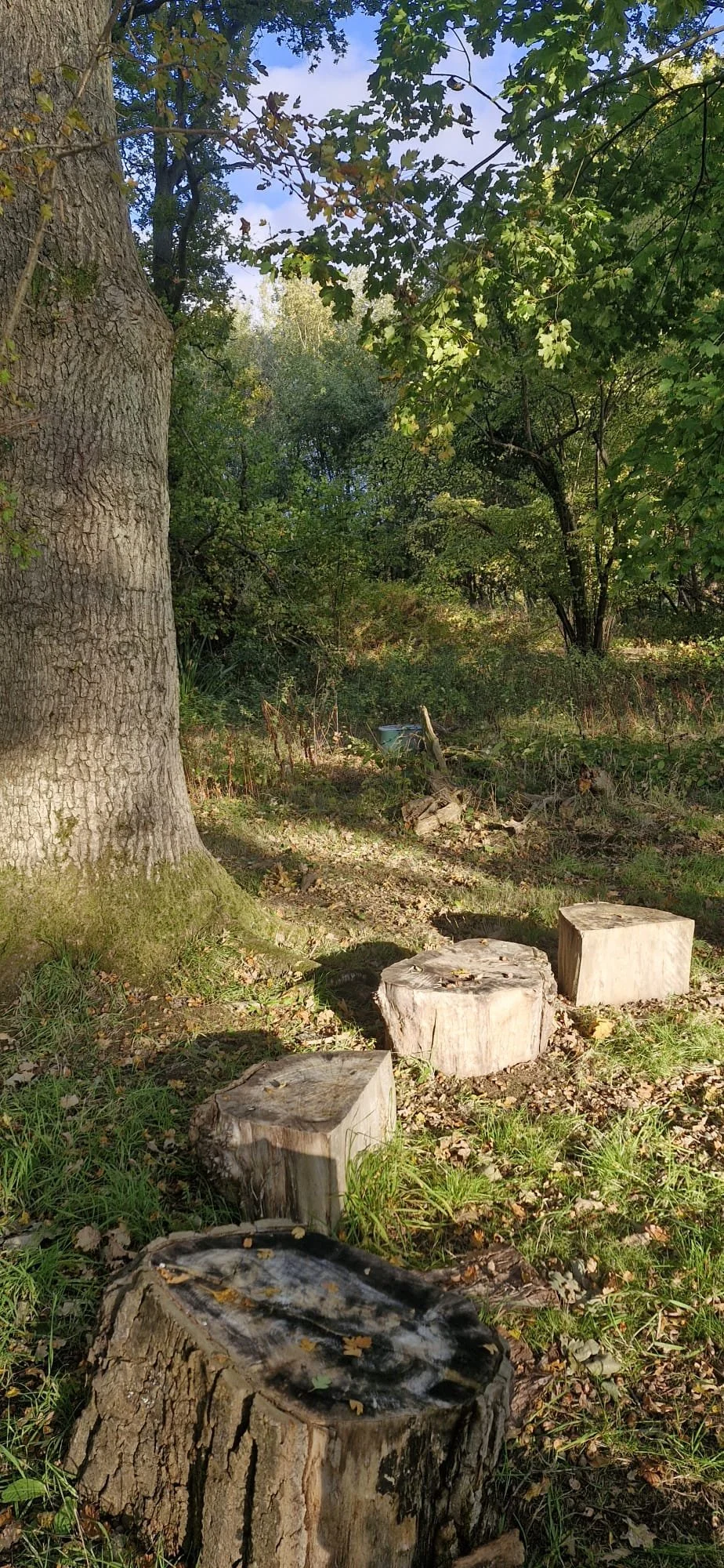 Nurture in Nature: Rest &amp; Restore