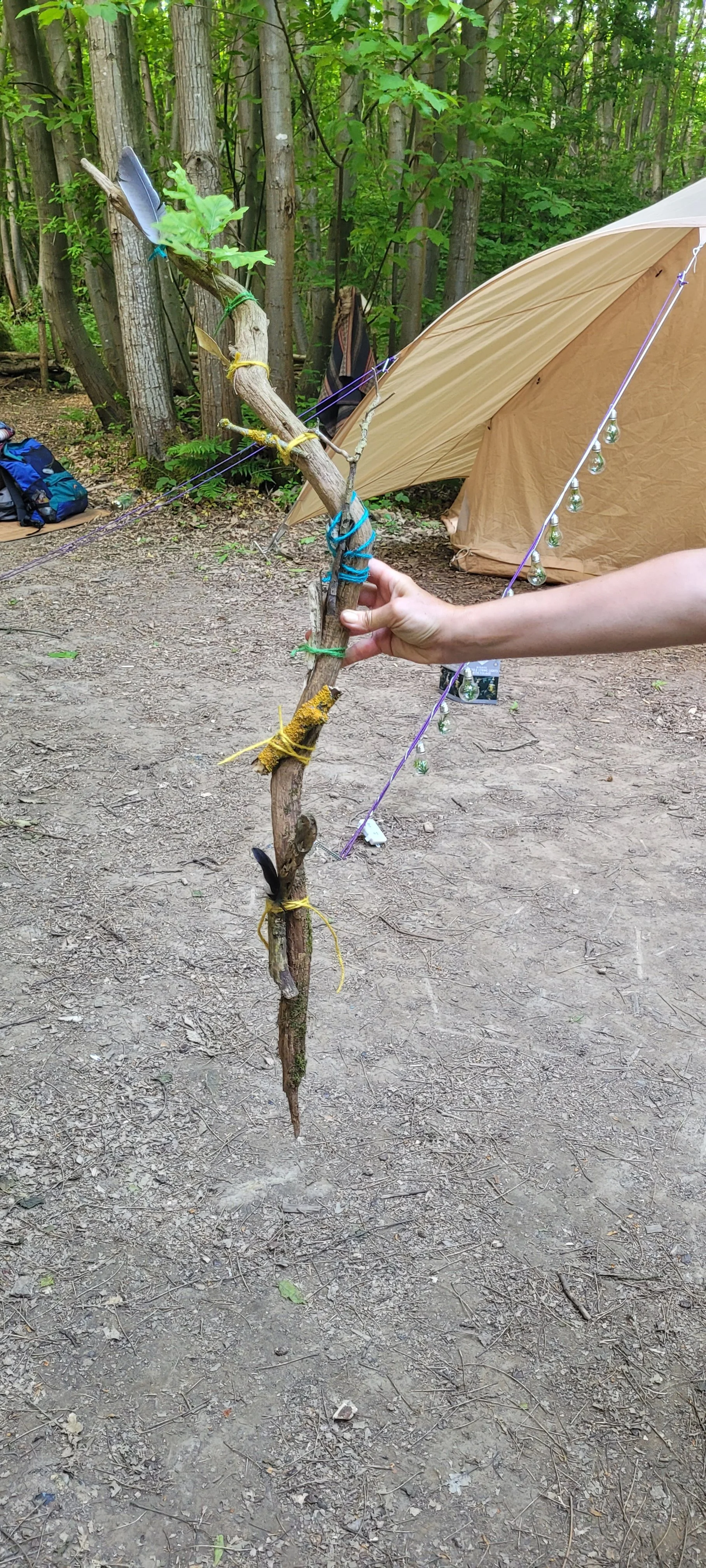 20230611_105122.jpg