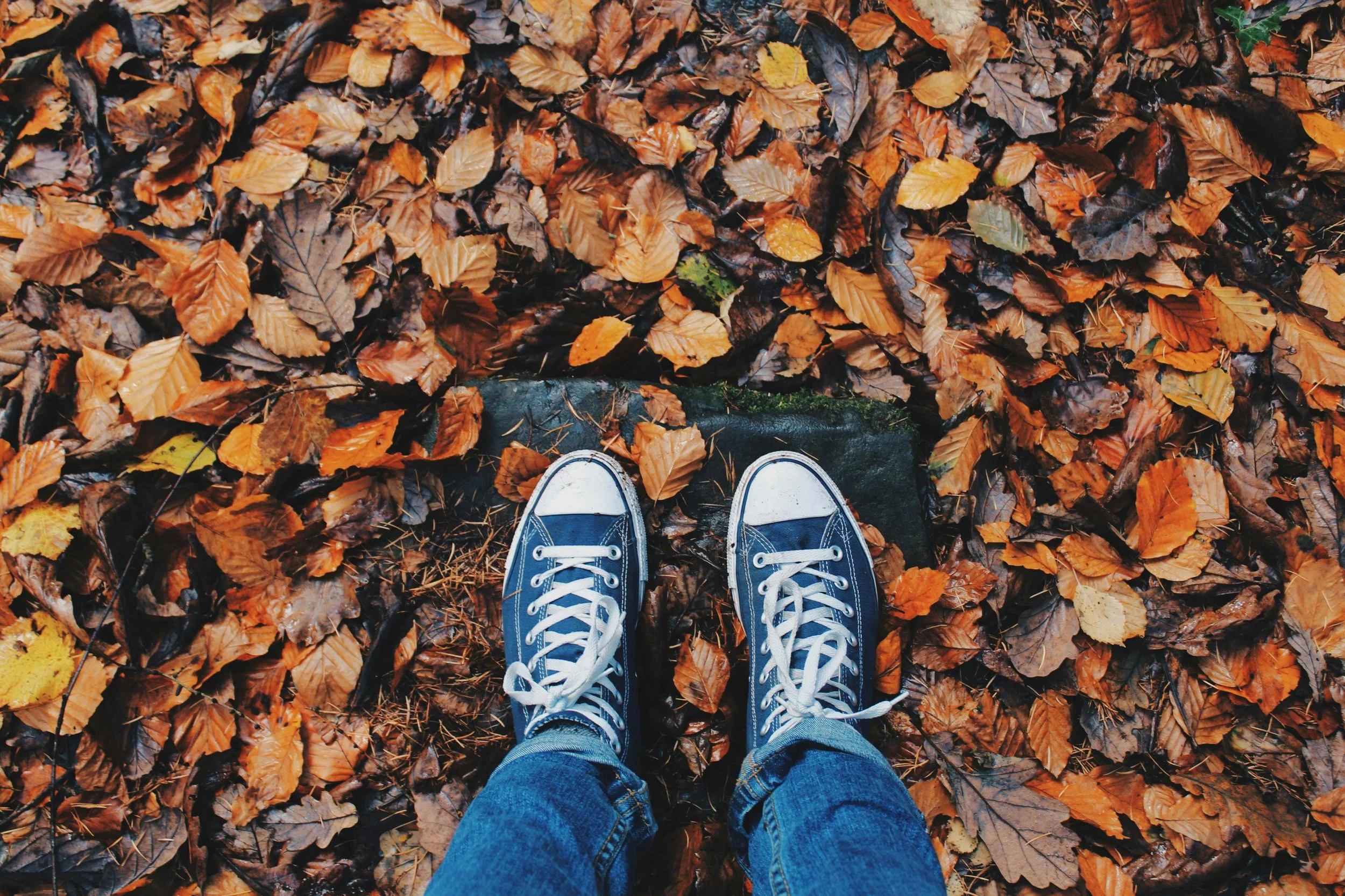 pexels-pixabay-267313.jpg