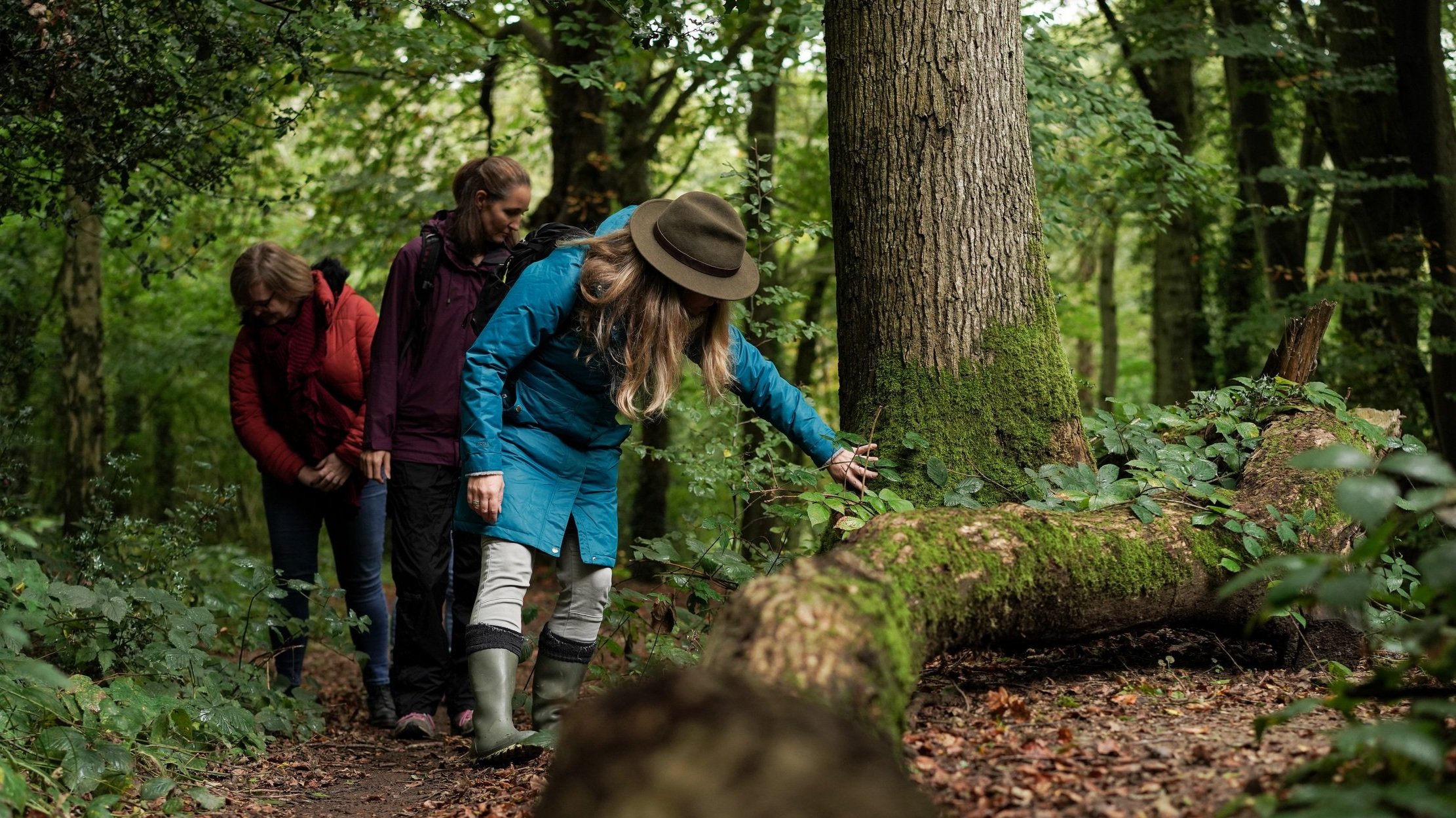 Forest bathing experiences — Tansy in the Wild