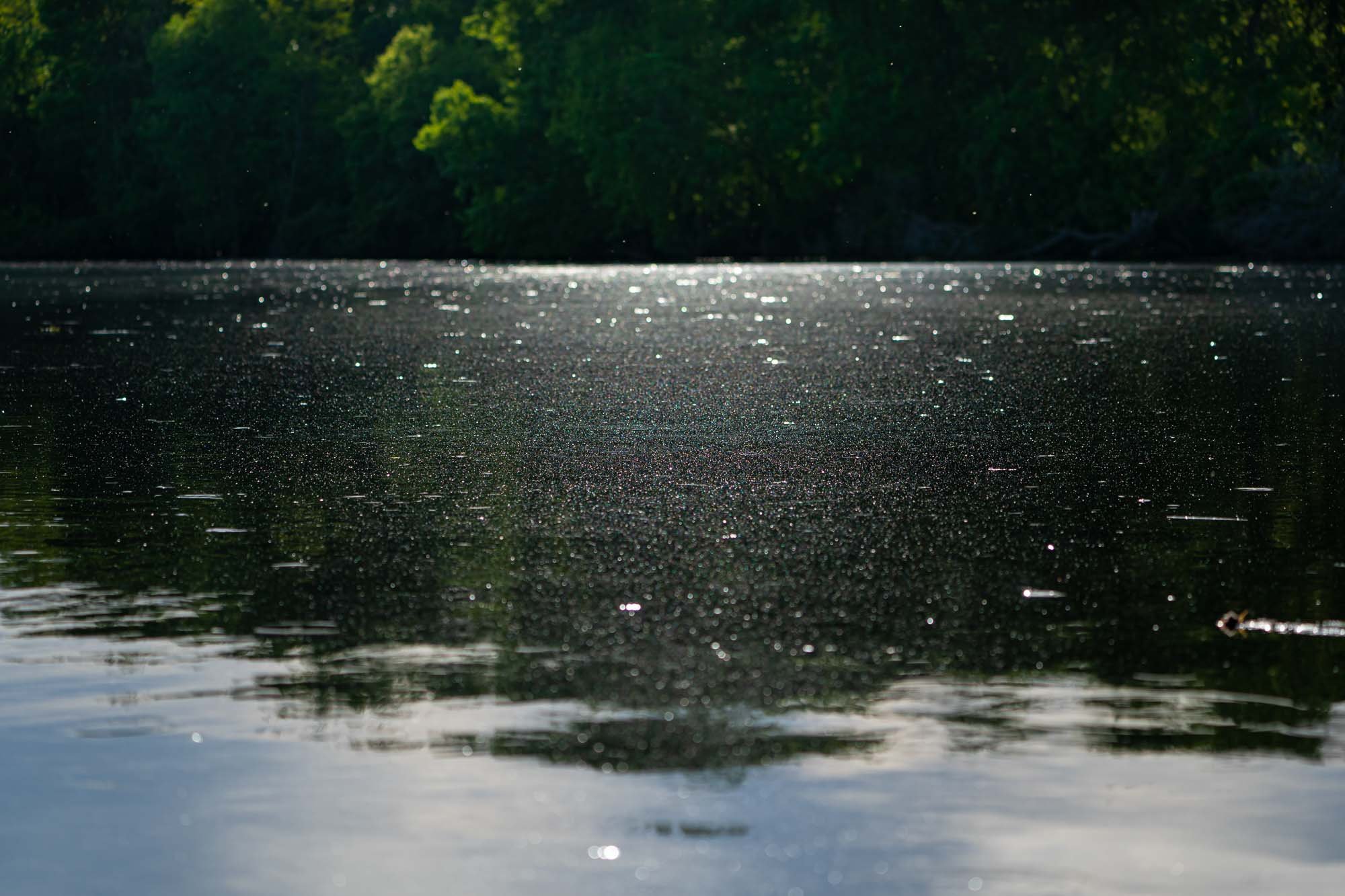 1_Water surface_20200606_Point au Sable_Green Bay Estuary.jpg