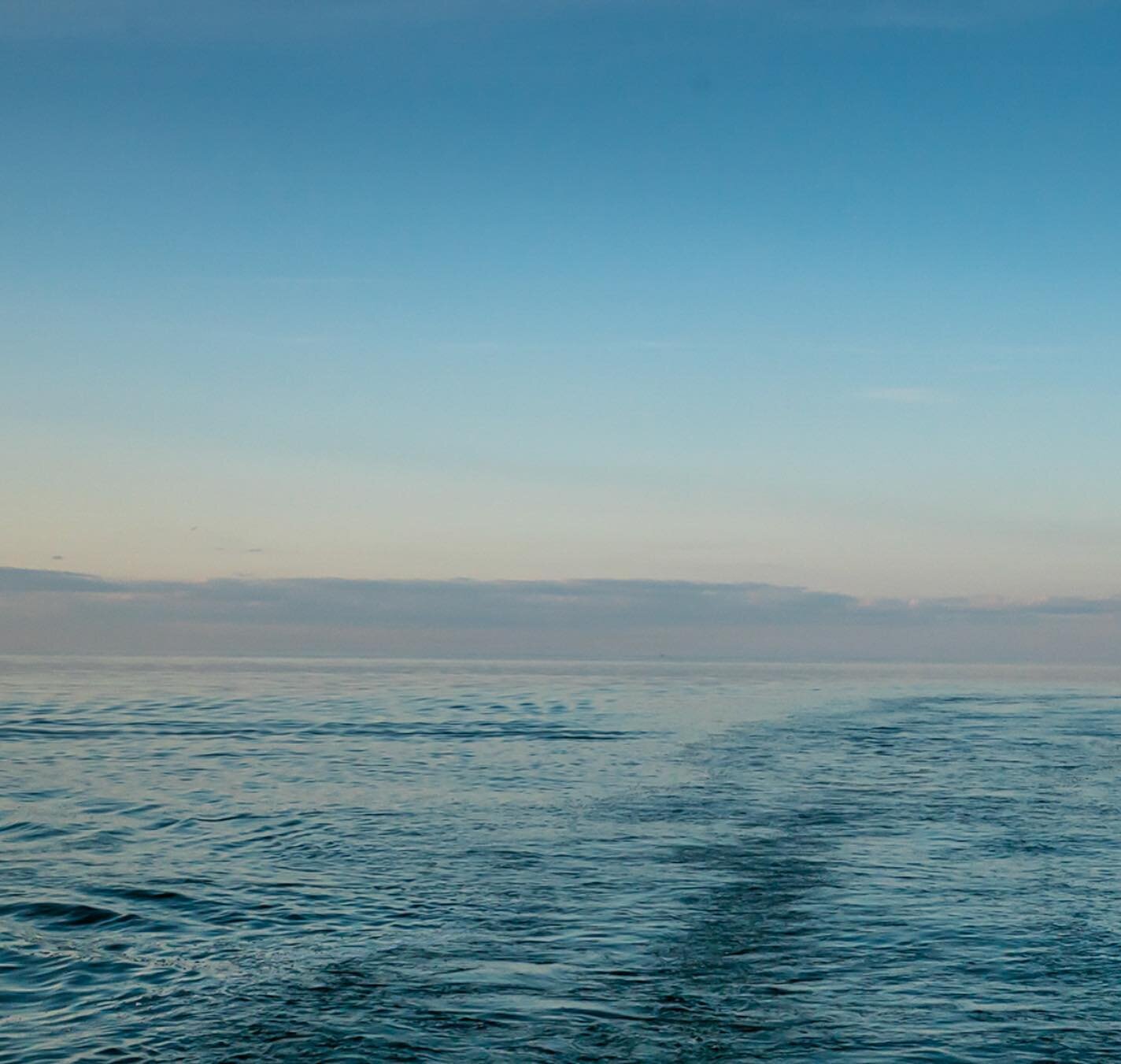 What started as an amusement, photographing our bay and coastlines, has turned into a passion project to communicate the importance of this unique ecosystem and remind everyone that Green Bay is the largest freshwater estuary in the world. It&rsquo;s