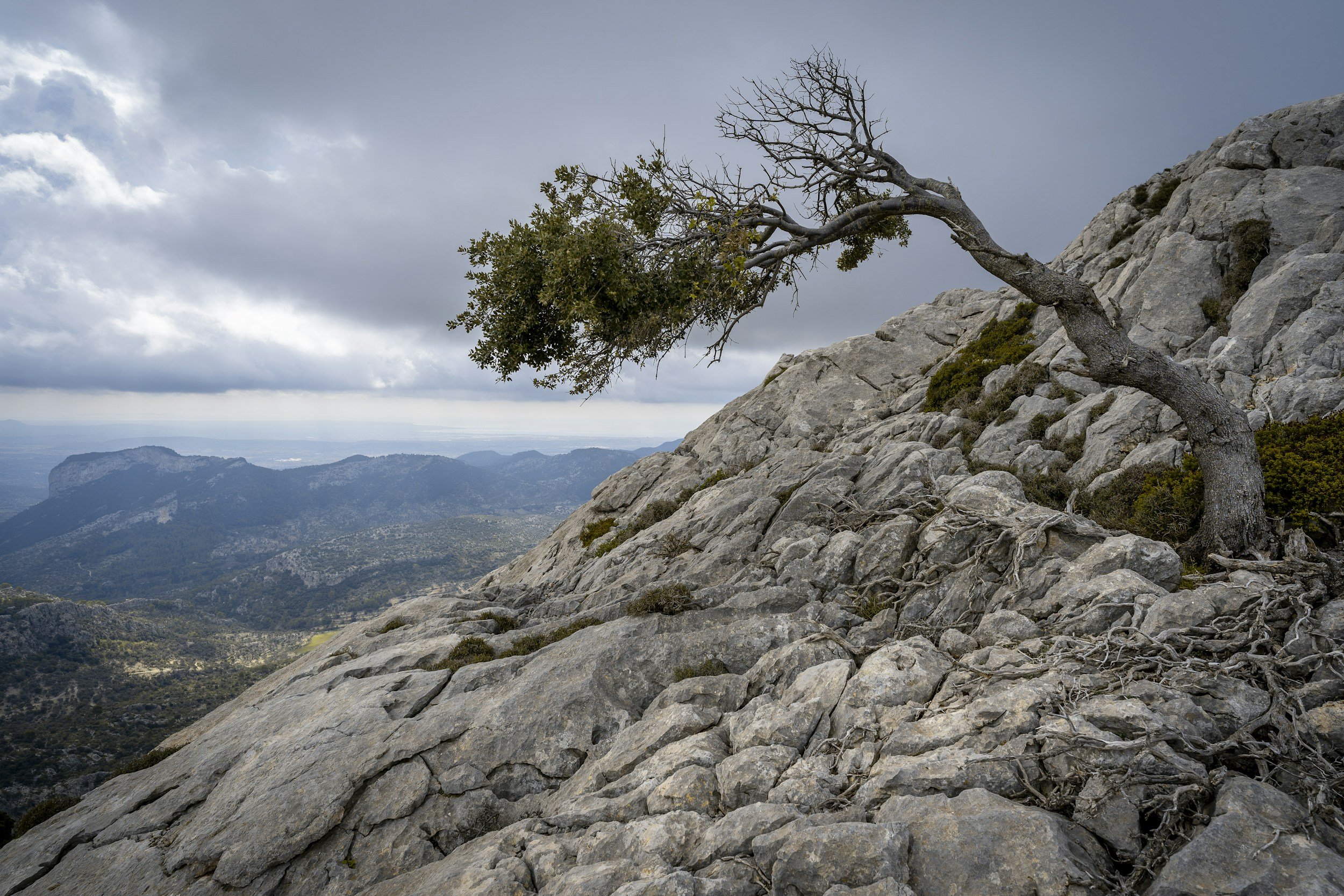 Your Struggle: A Necessity on Your Journey