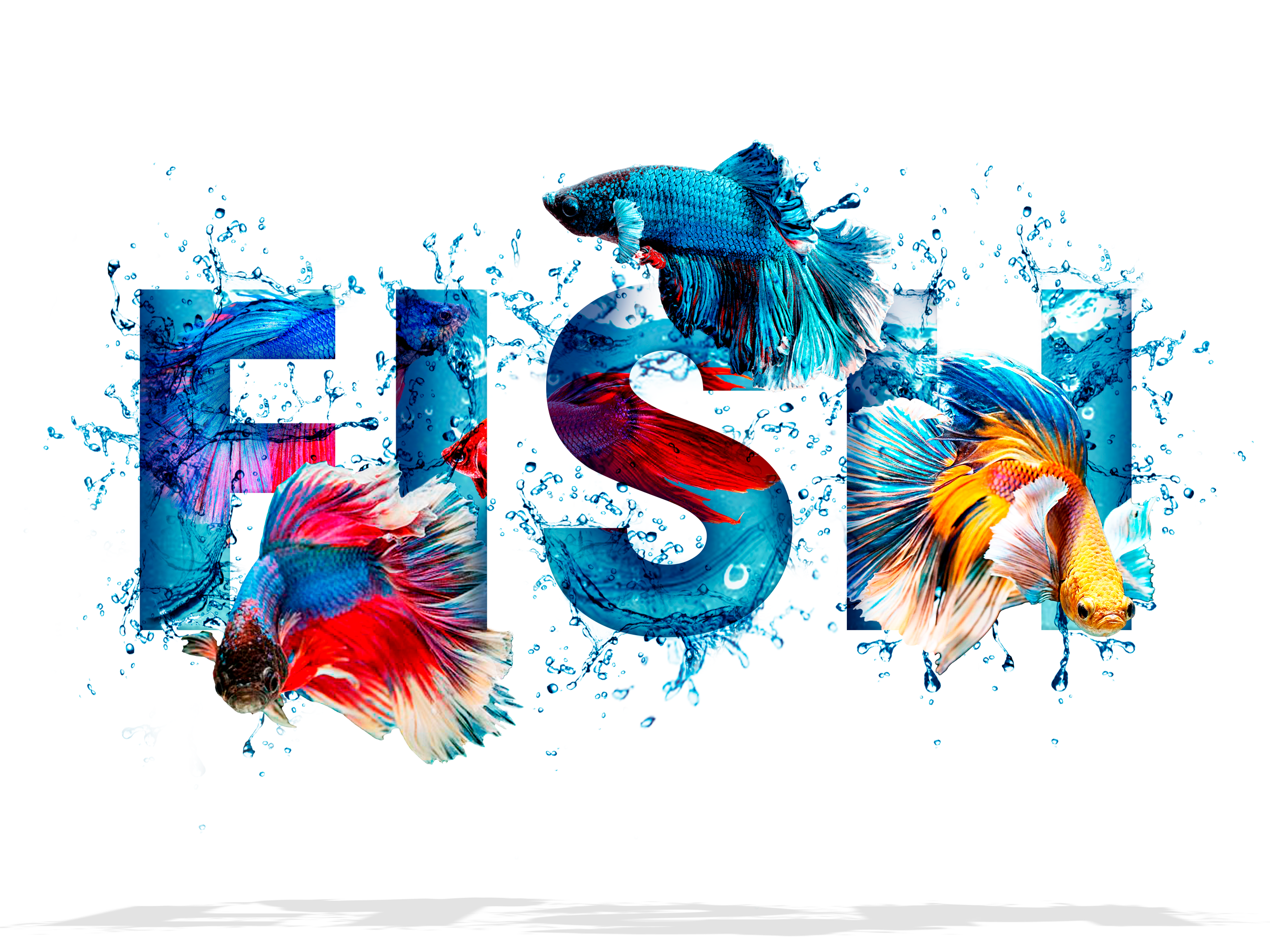 Pesce combattente.png