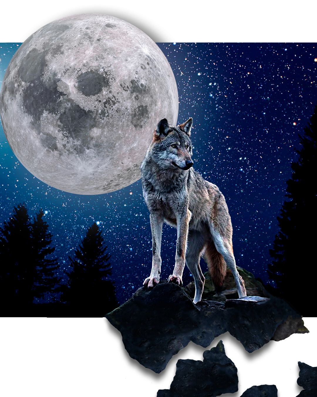 Post lupo corretto2.png