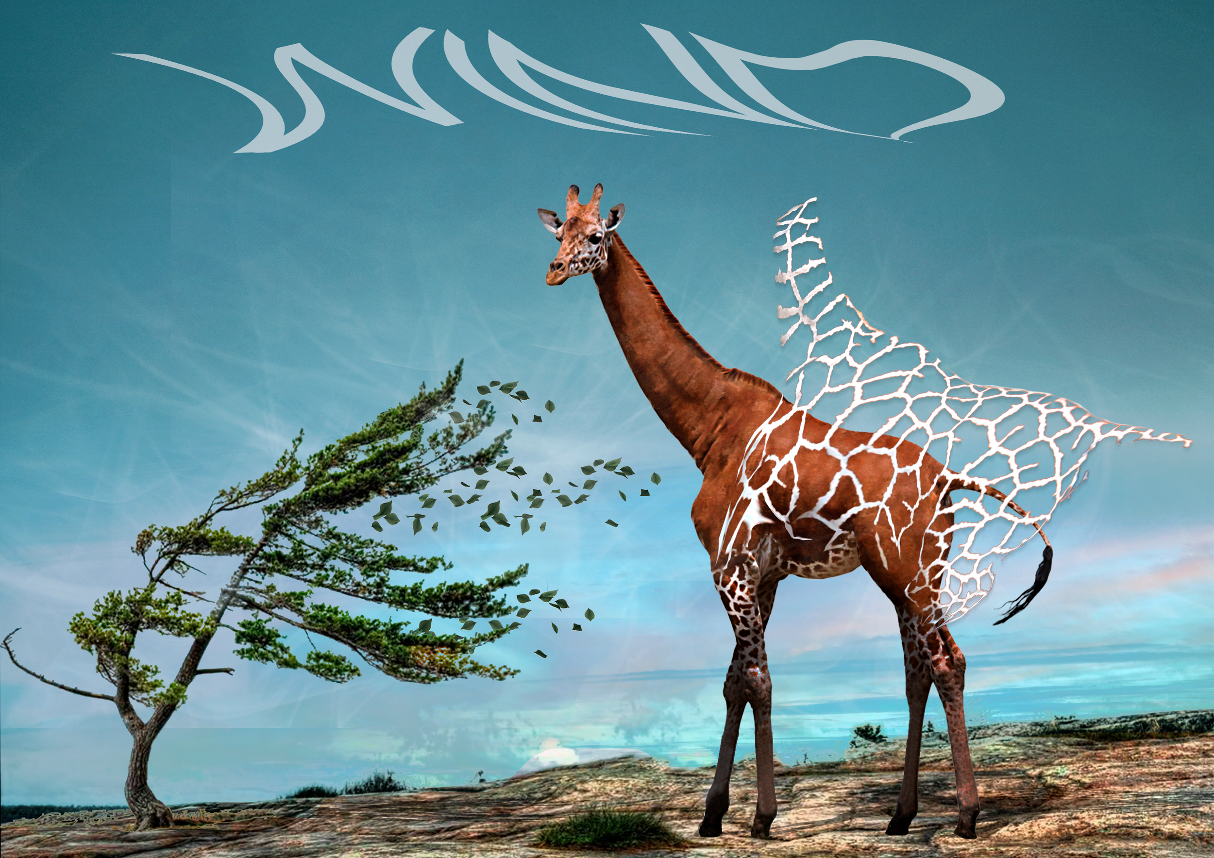 Giraffa.png