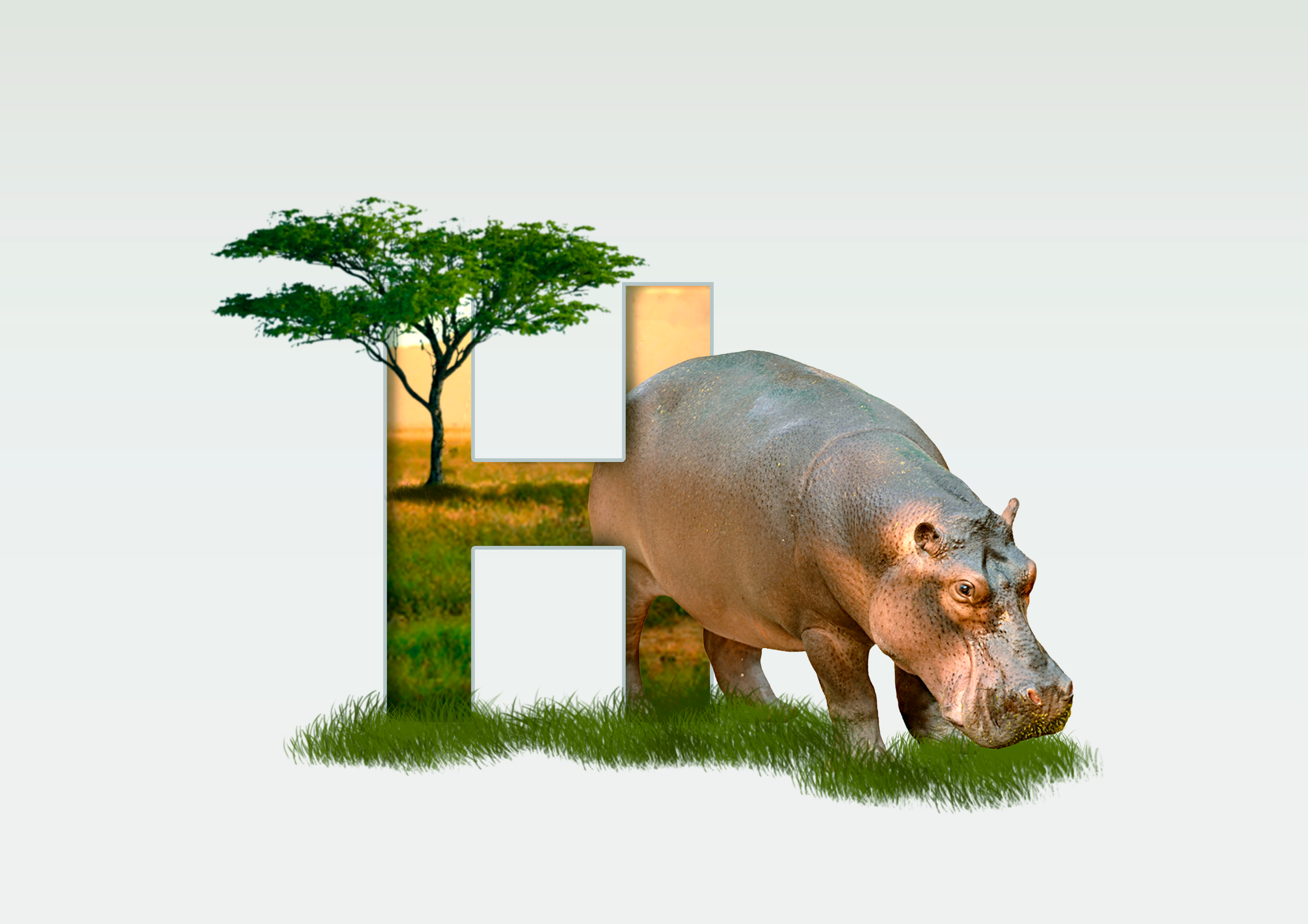 Ippopotamo.png
