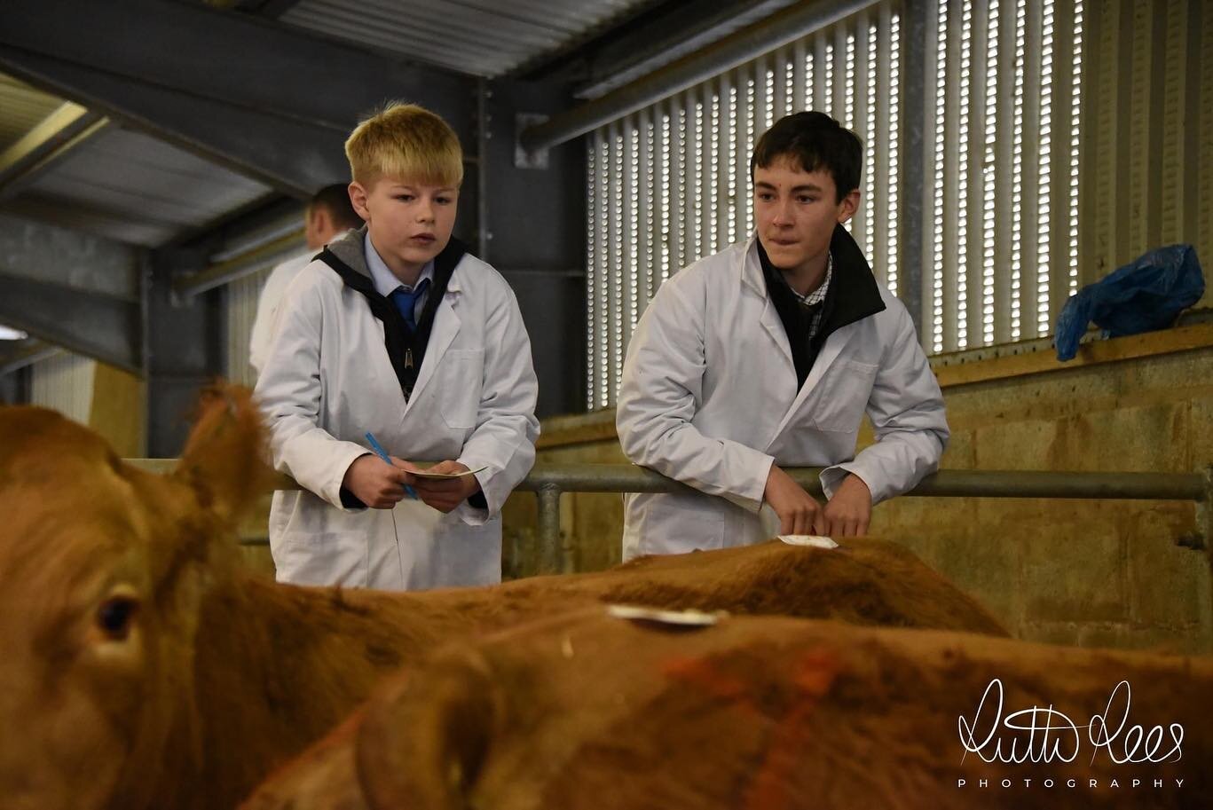 A few of our favourites shots from Stock Judging Day 📸 

Photo credits to @ruthyrees 

Thank you to our Sponsor @pilgrimsprideuk for your continued support 👏🏻 

Huge congratulations to Anwen Hardwick, Rhayader YFC on becoming Junior Stockman of th