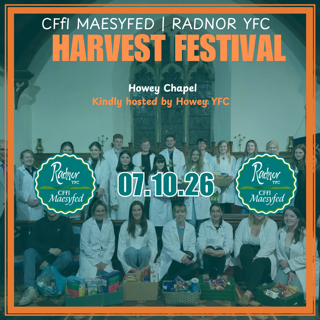 Harvest Festival 