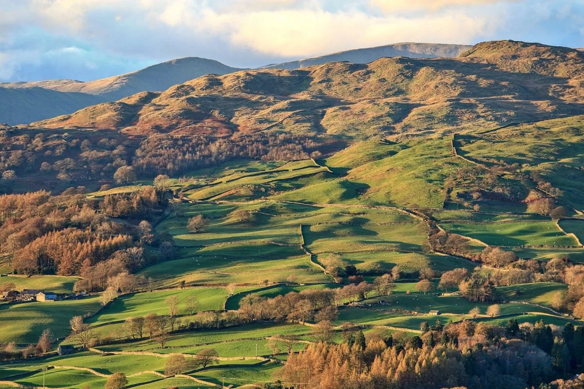 Rolling hills of the Lake District in lush green and yellow
