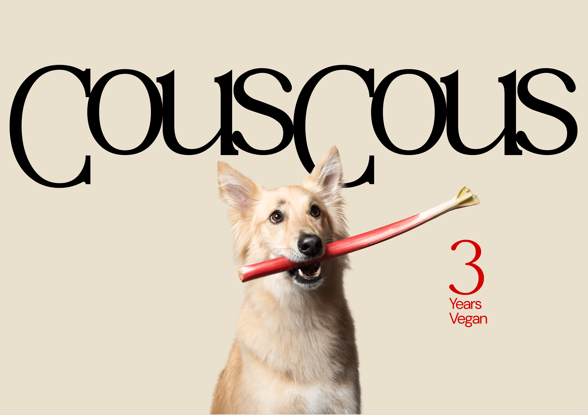 CousCous5.png