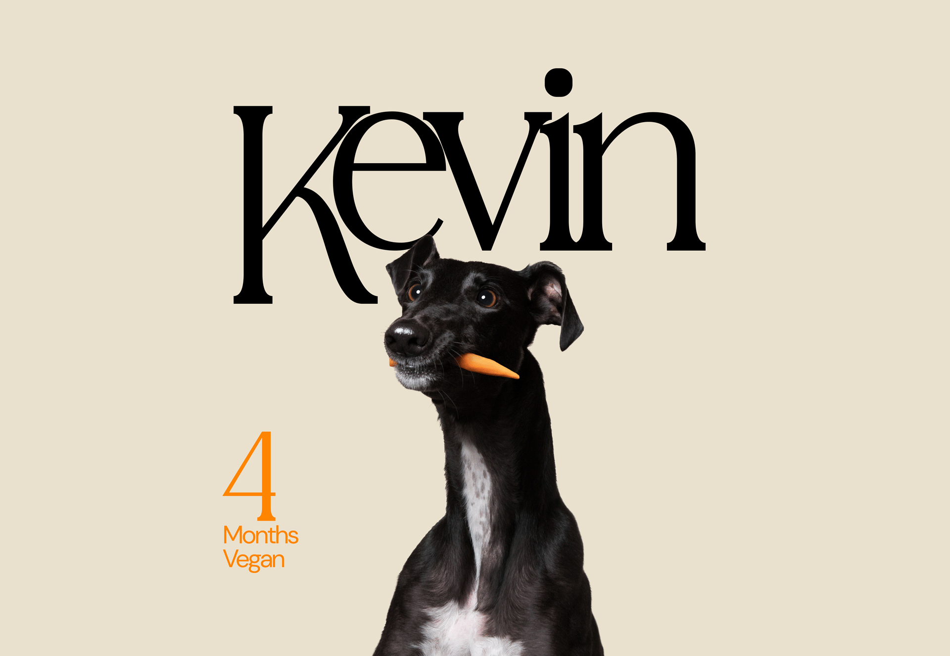Kevin1.png