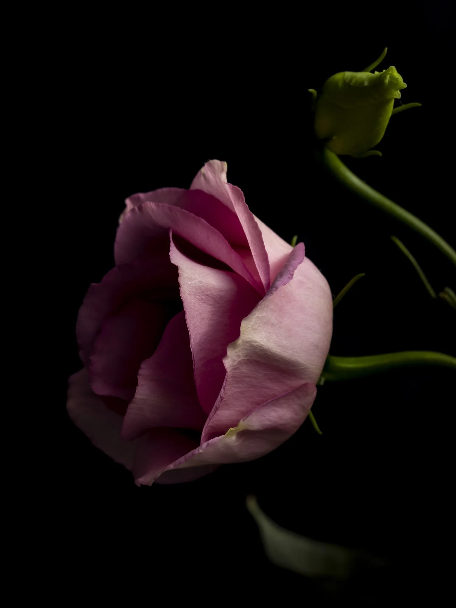 _62A8018.jpg