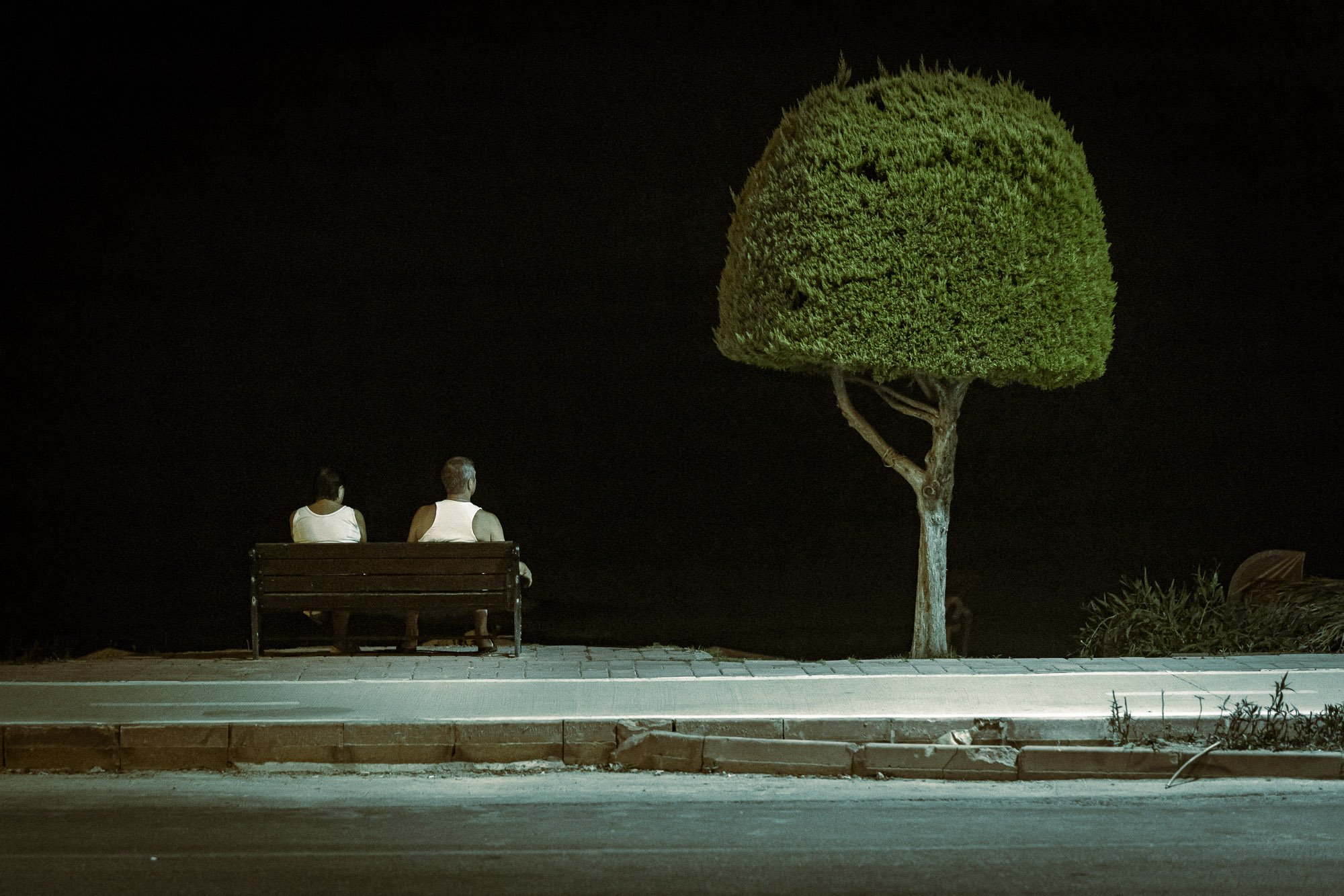 watching the dark.jpg