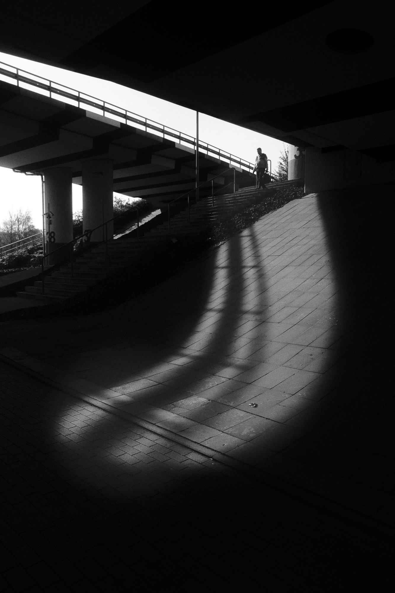 light_and_shadow-2.jpg