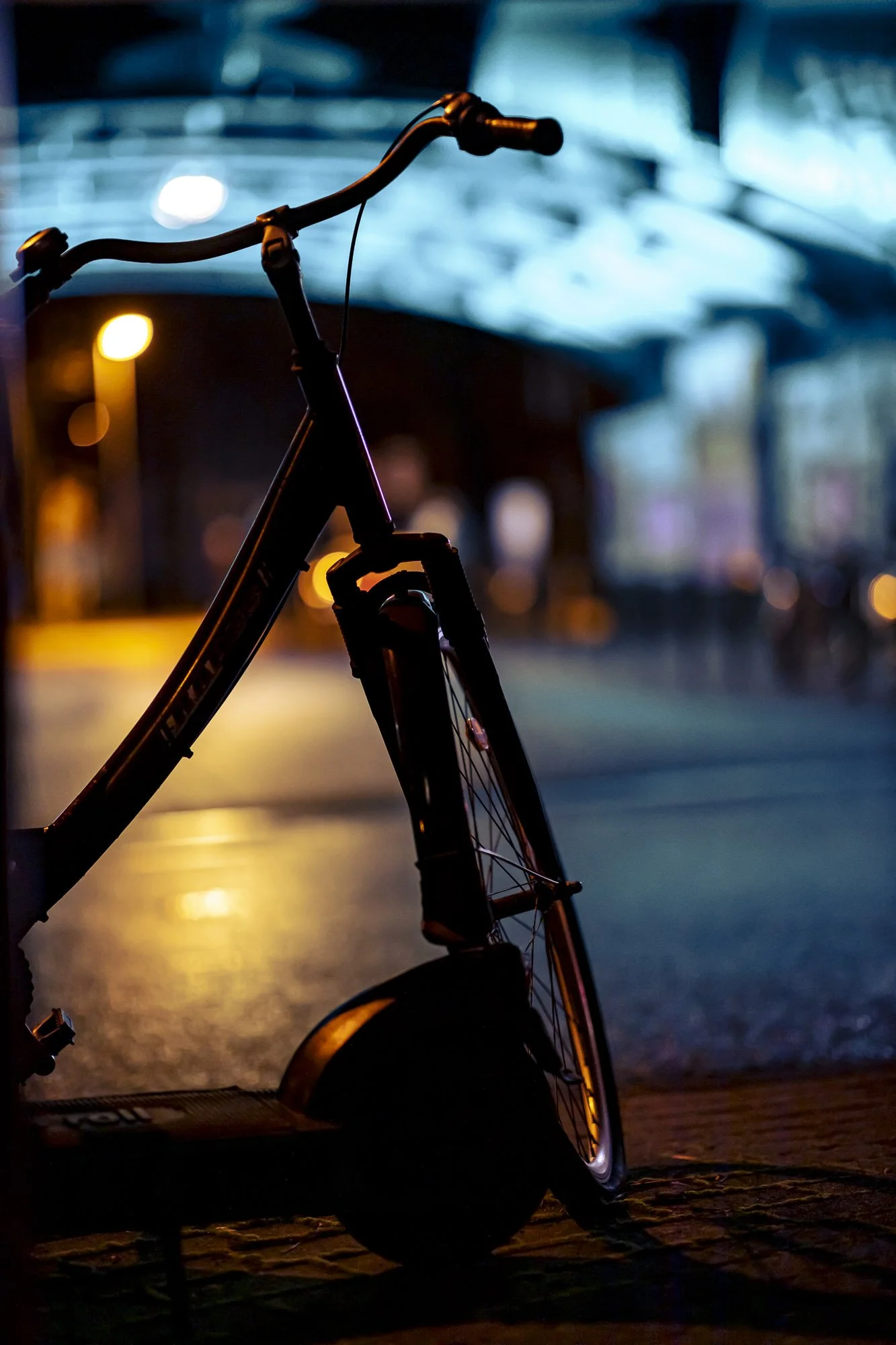 cologne nights.jpg
