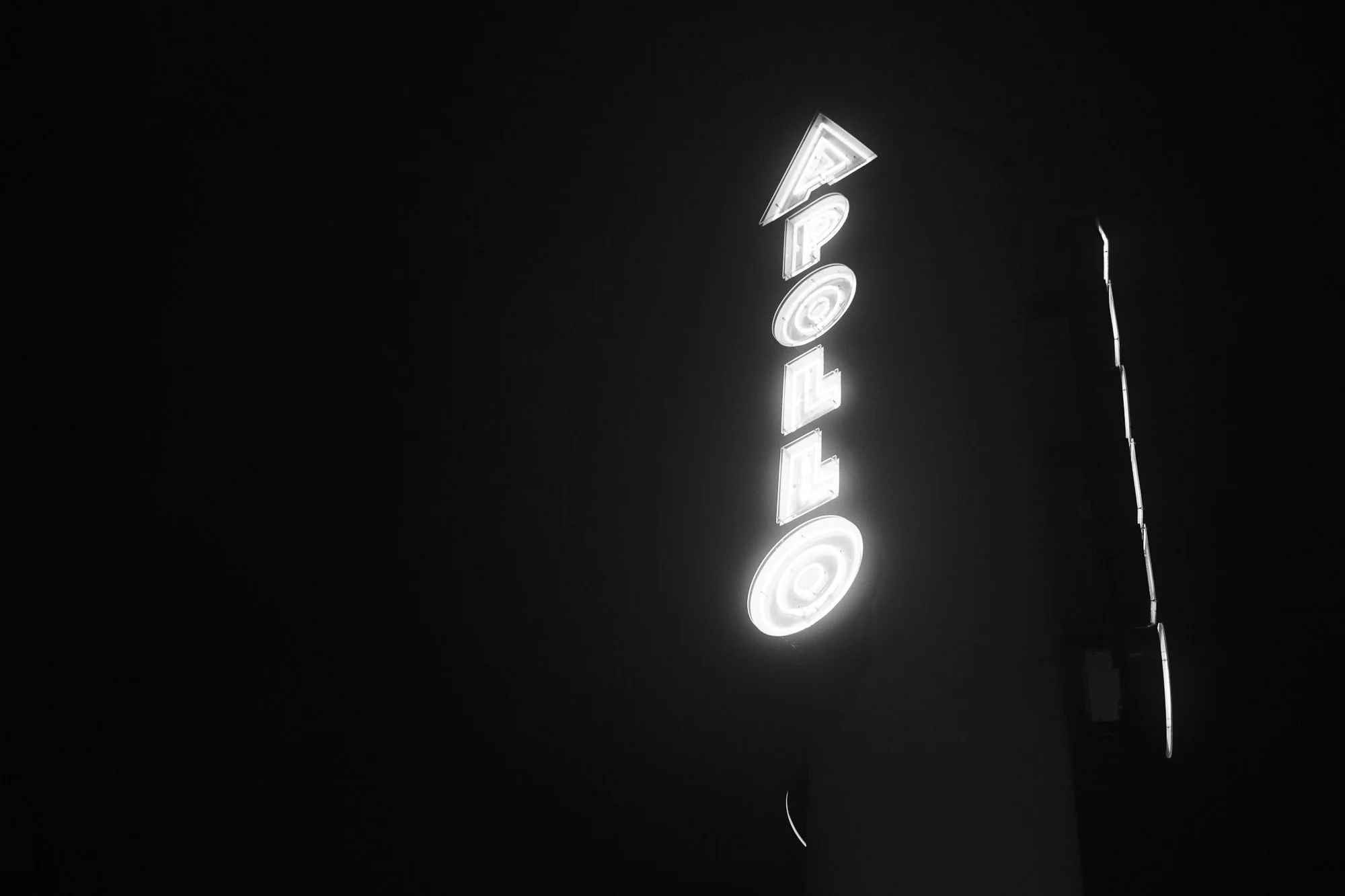 nightscenes-12.jpg