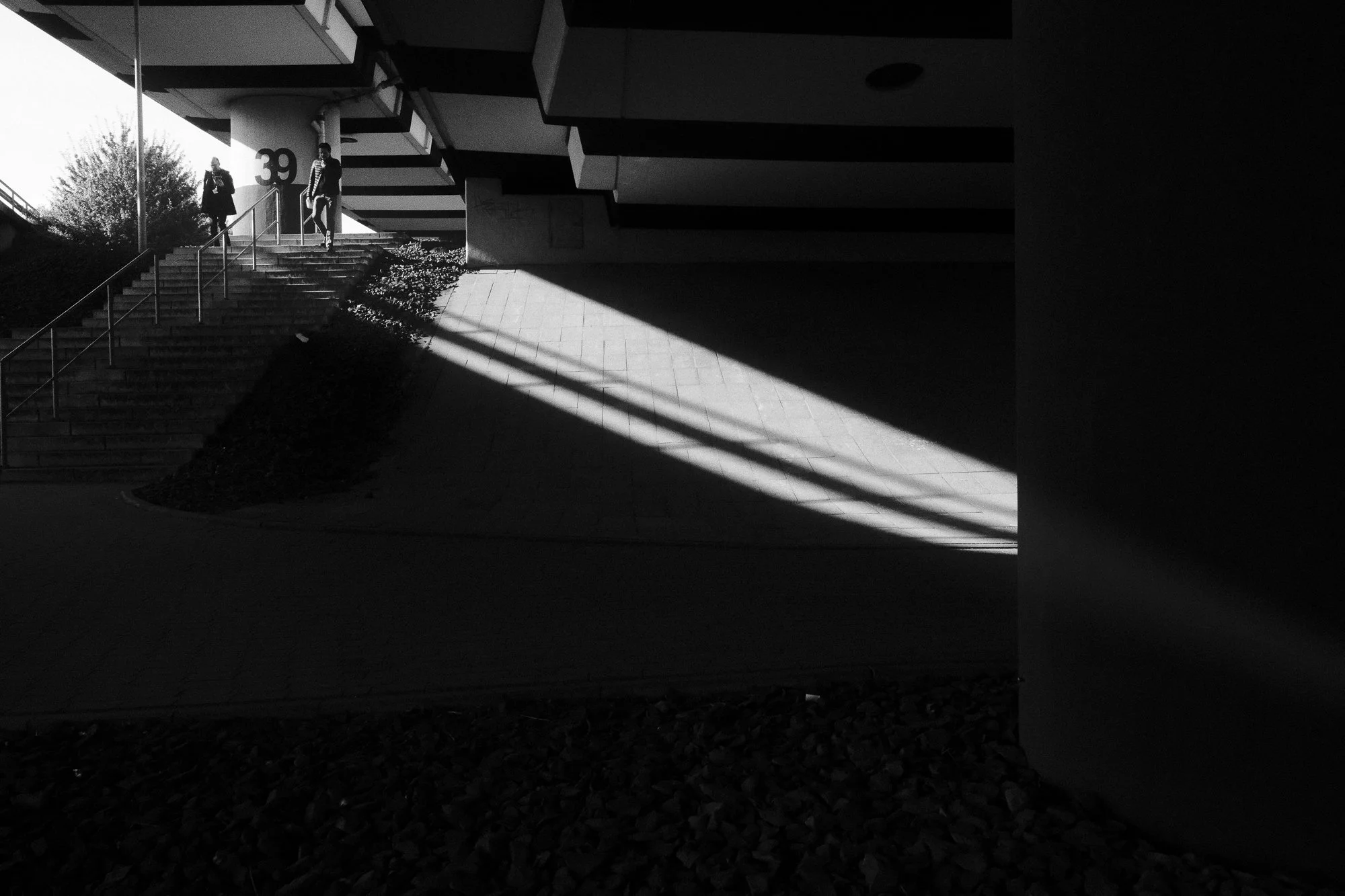 light_and_shadow-1.jpg