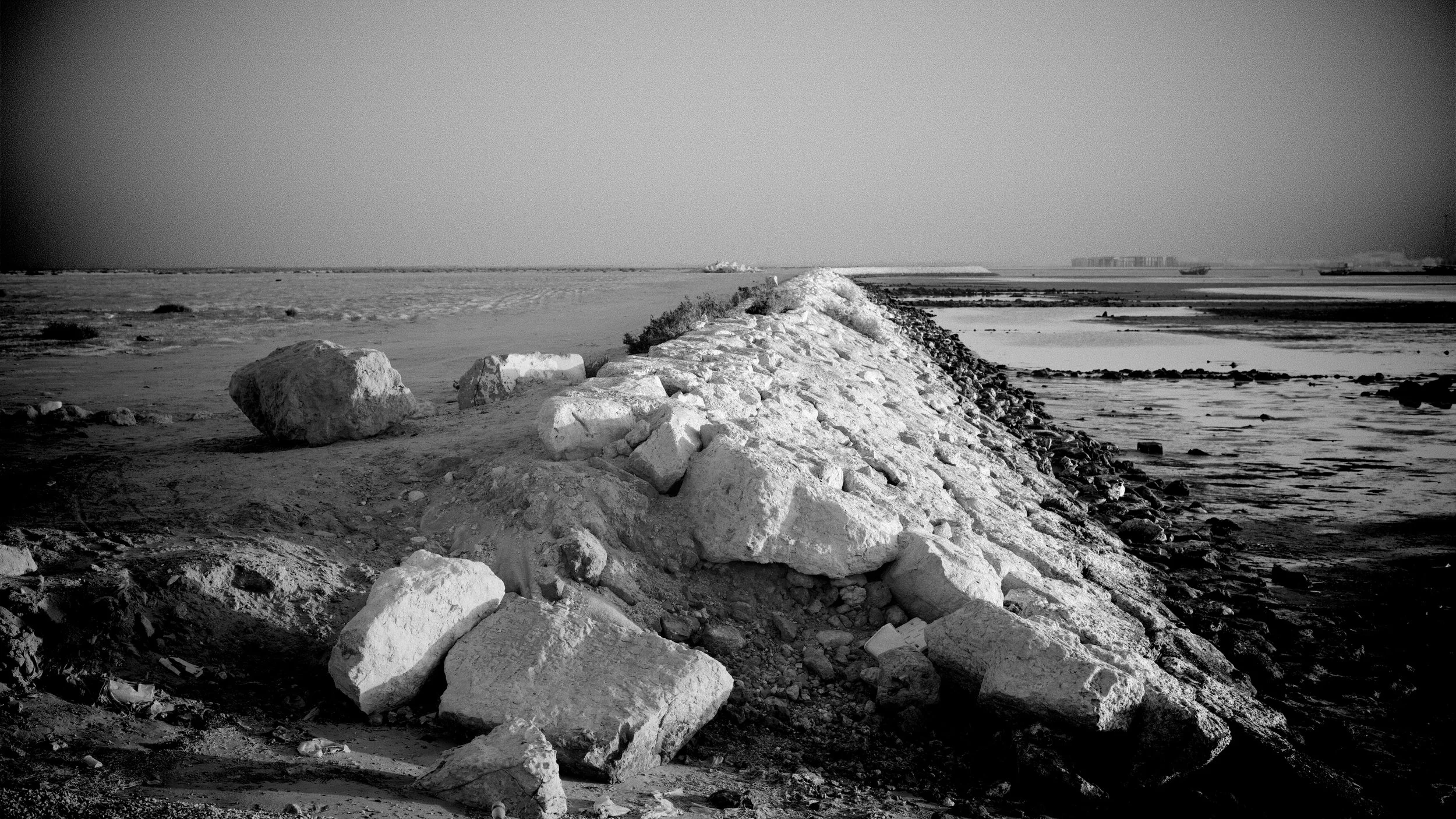 DSC00270.jpg