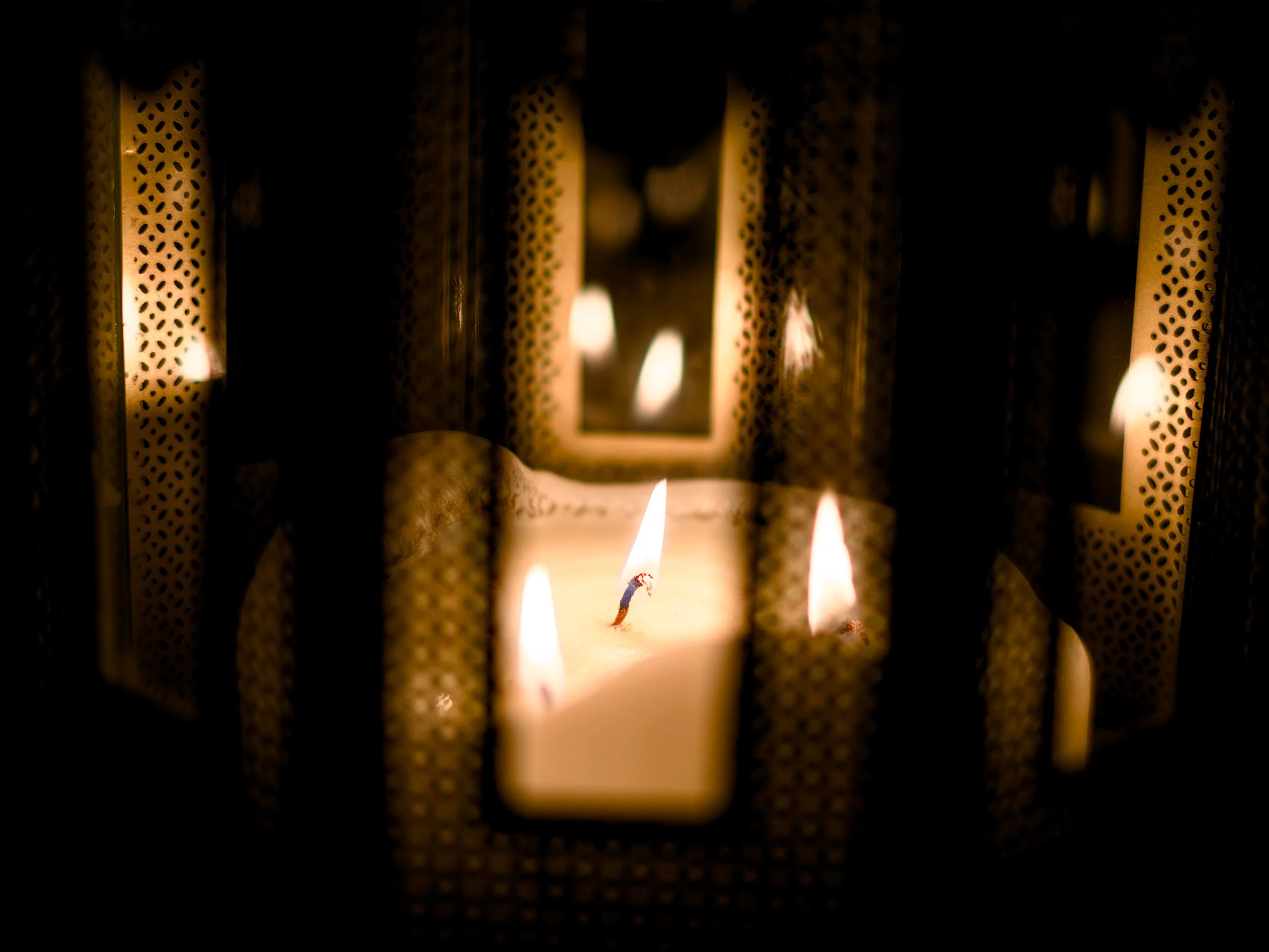 DSC00701.jpg