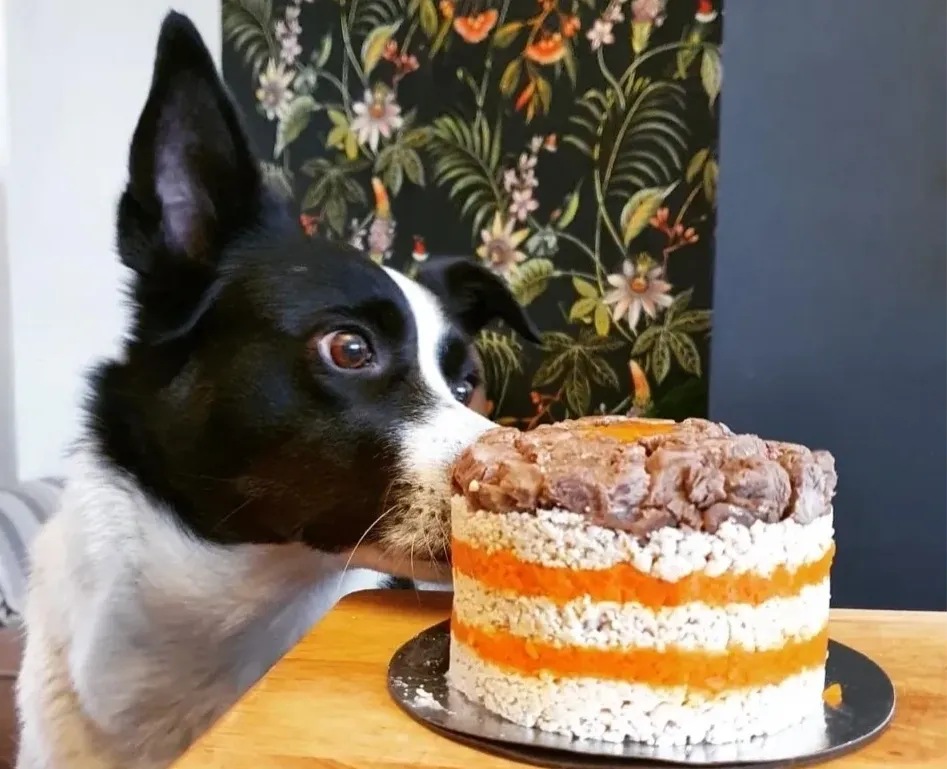Adored Pets Cuisine