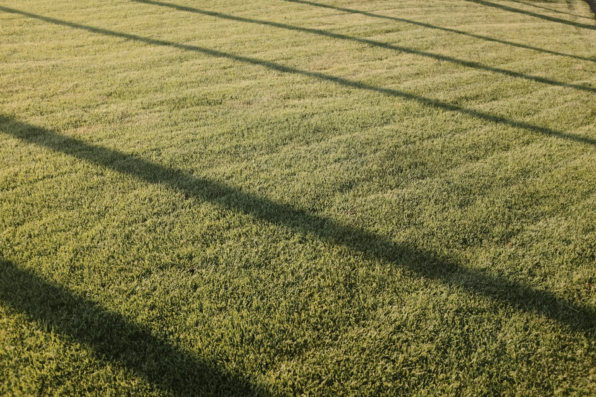 SmartLawns Ltd