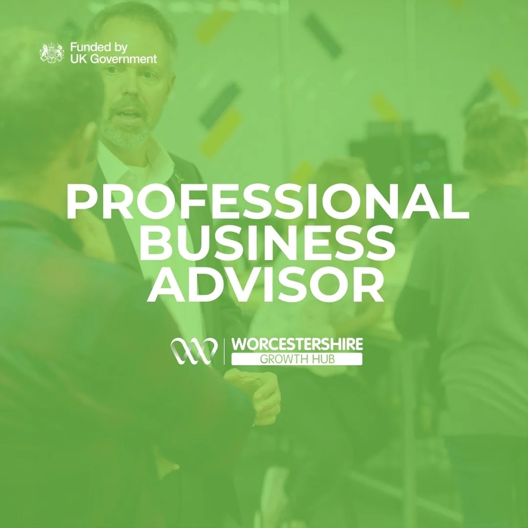 Professional Business Advisor