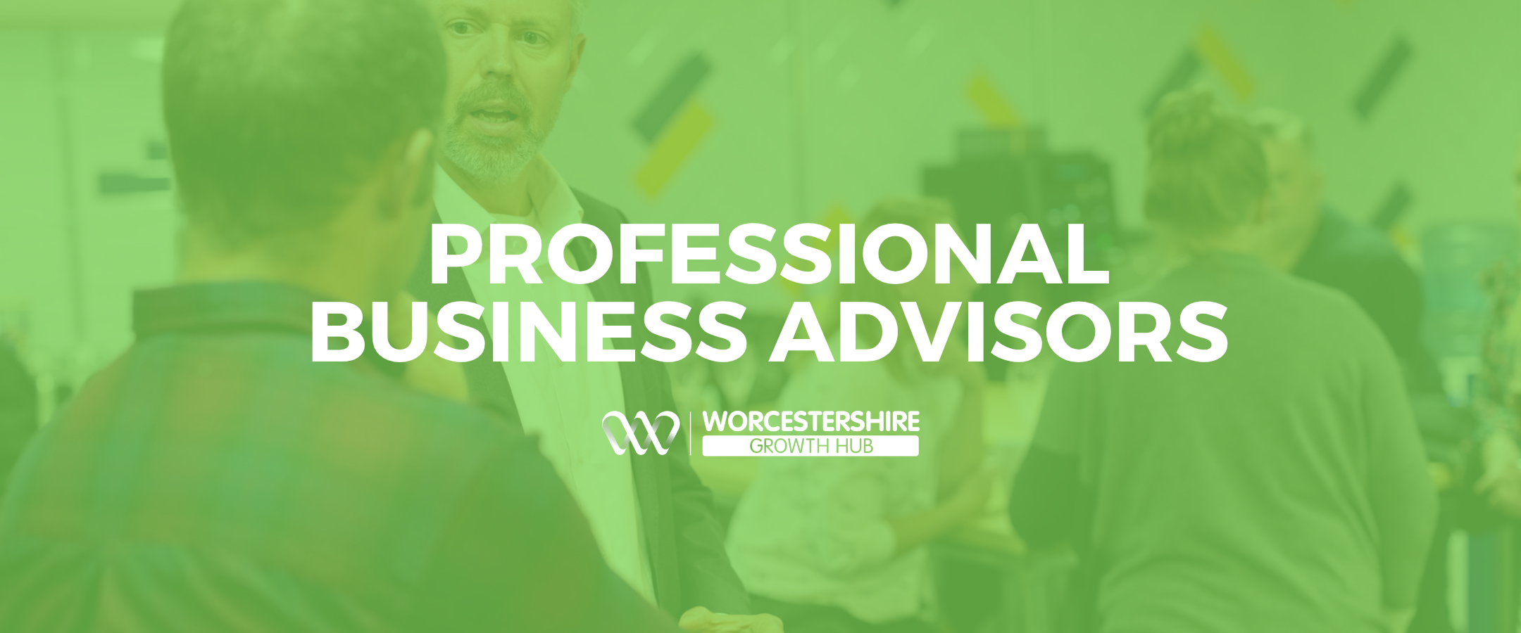 Professional Business Advisor