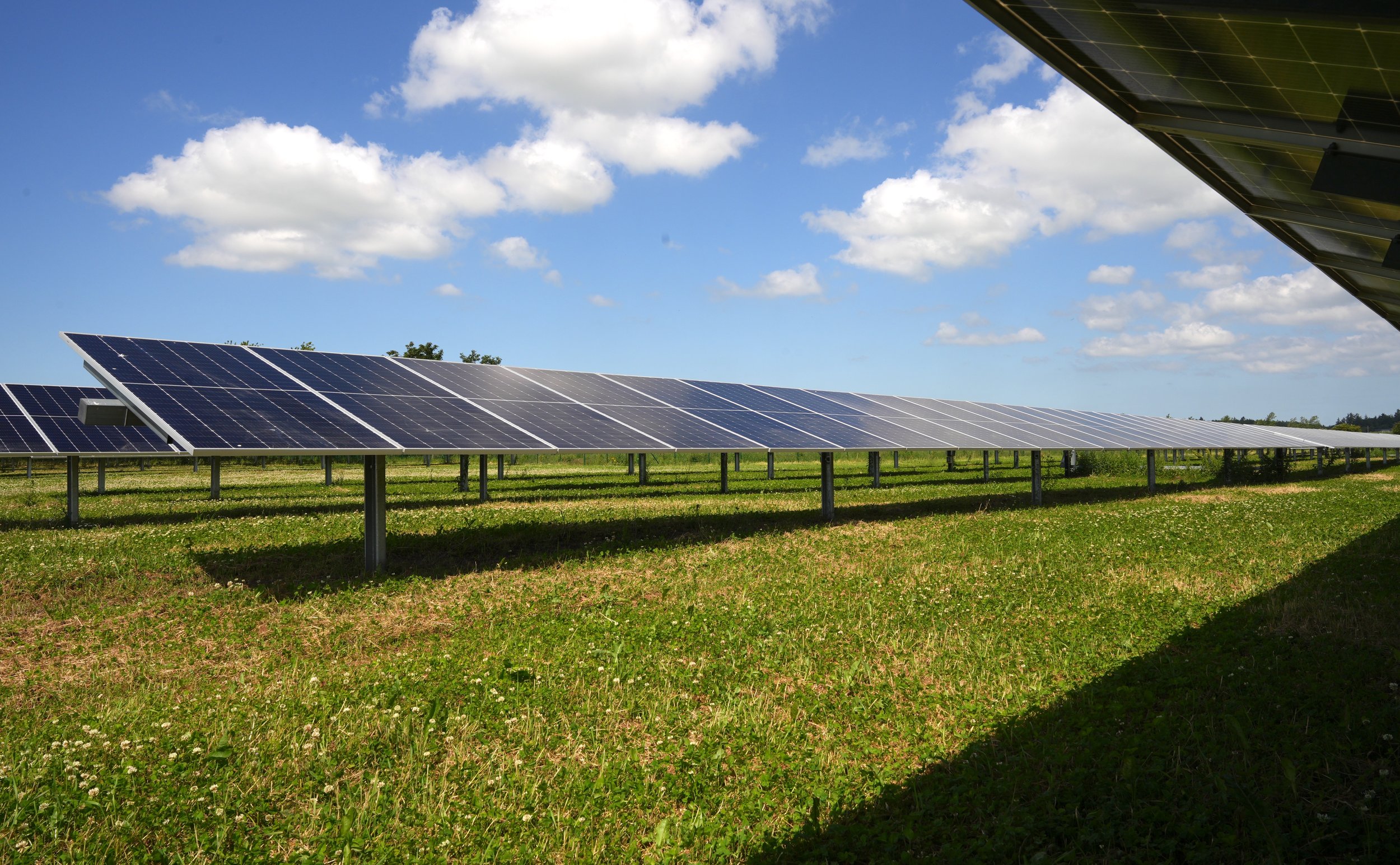 Construction started on Danish solar park with 170 megawatts of generation capacity developed by GreenGo Energy
