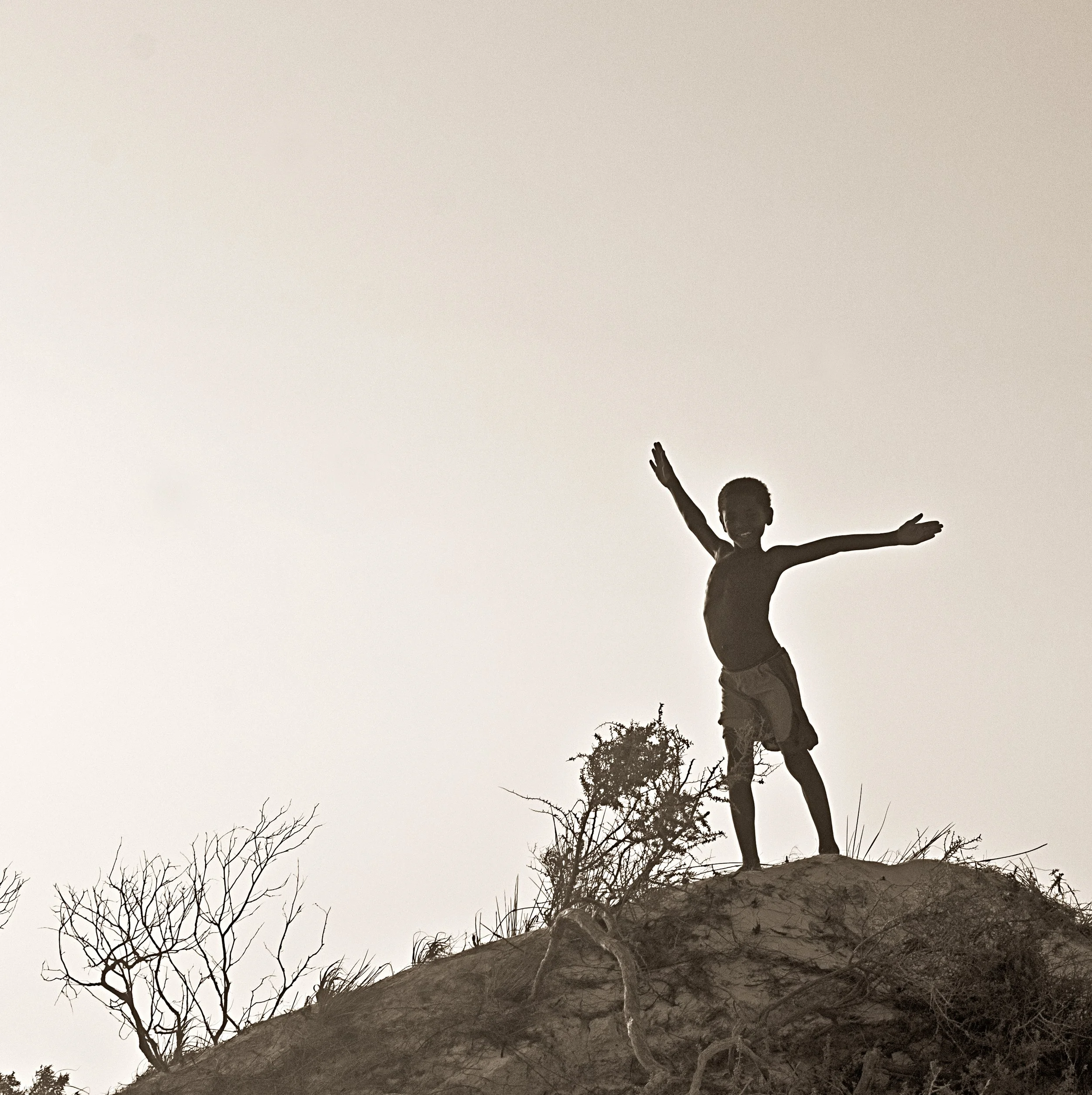 andravony bird (karin harel).jpg