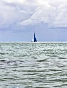 pirog dream reec.jpg