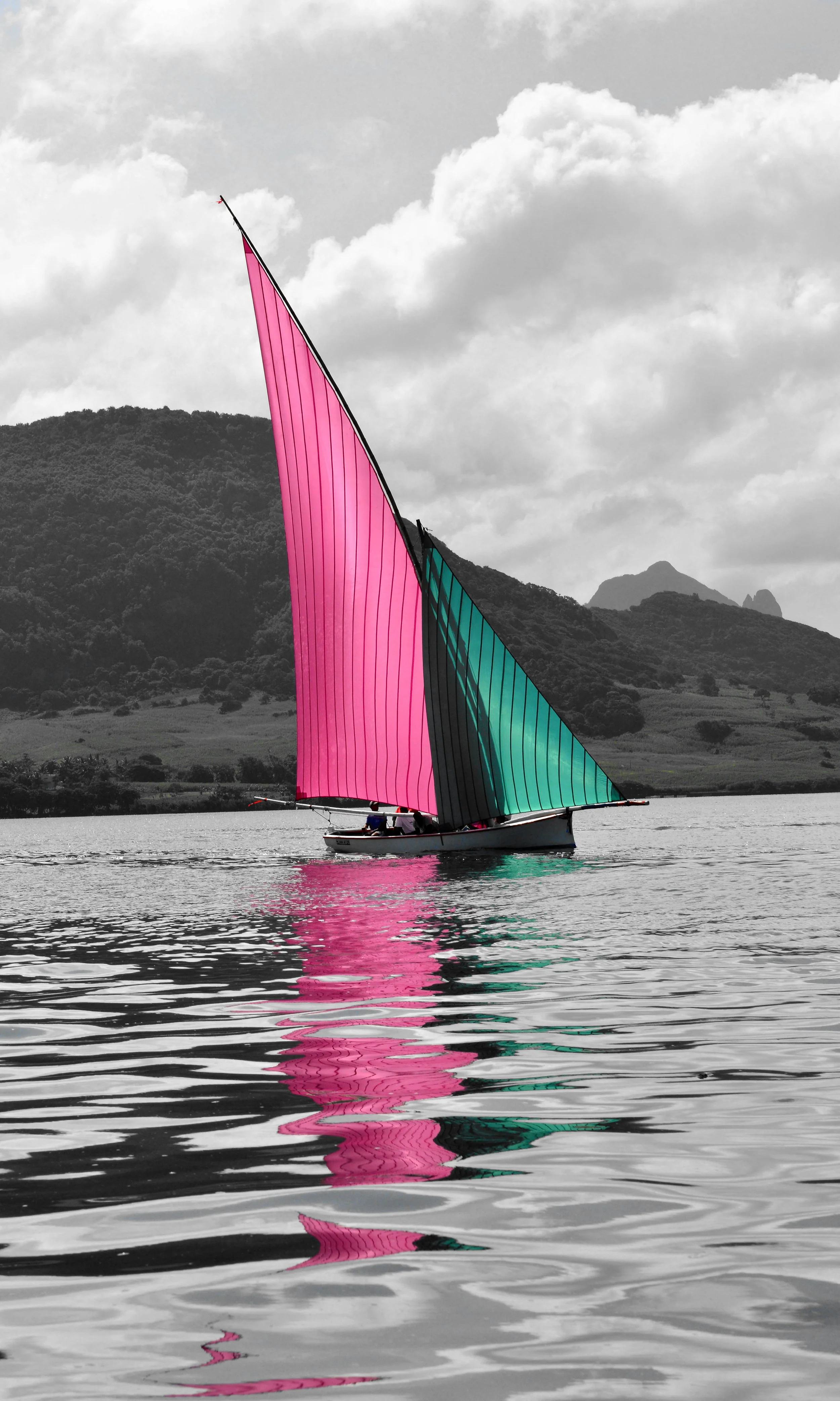 rose et vert B&W.jpg