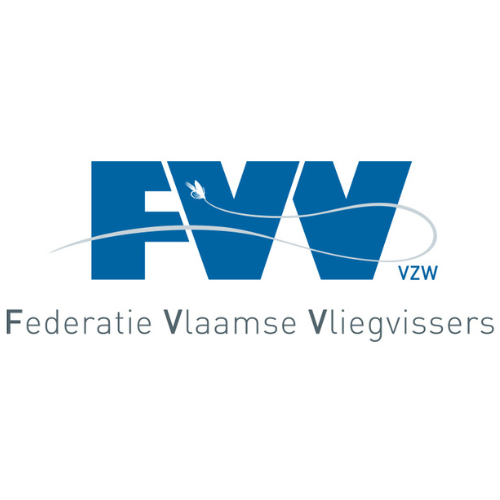Logo FVV Web.png