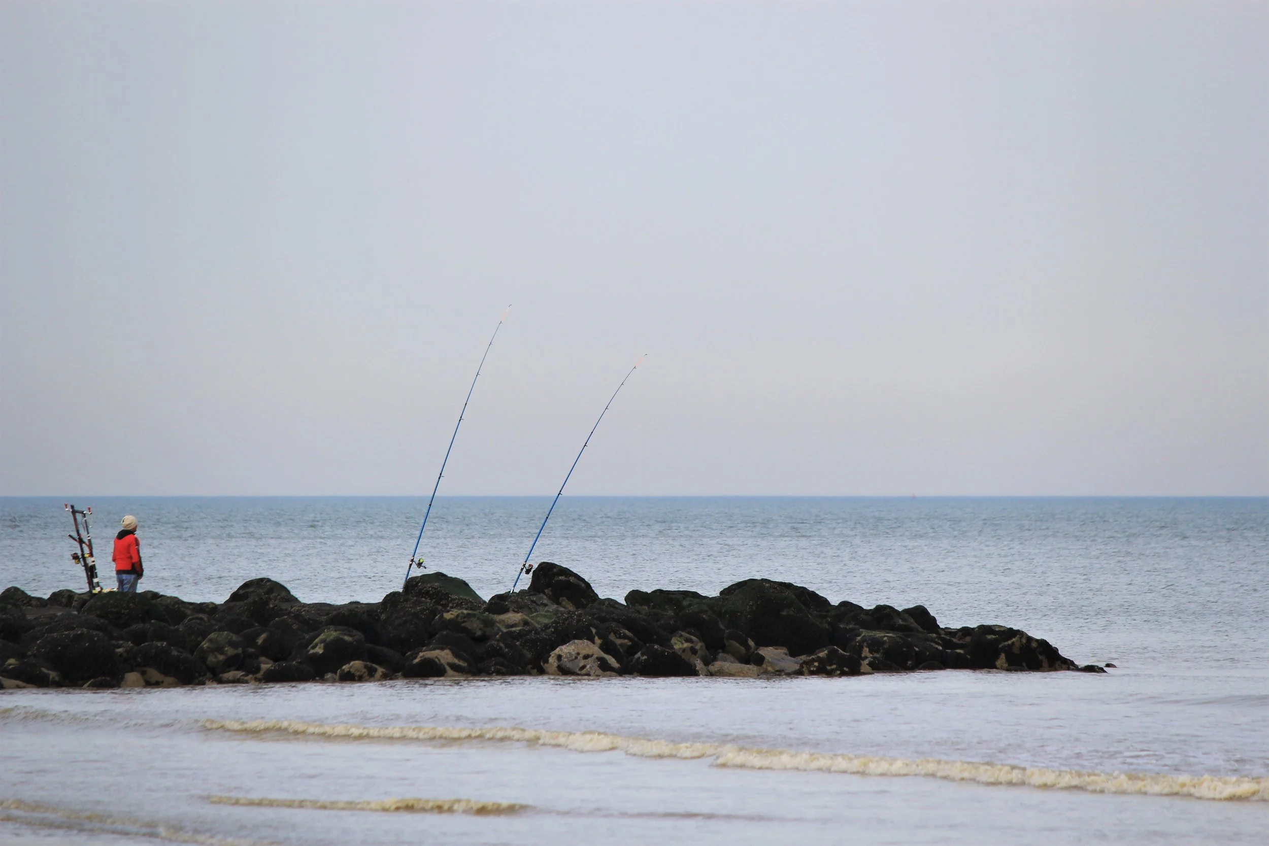 Herziening EU visserijcontrole-systeem