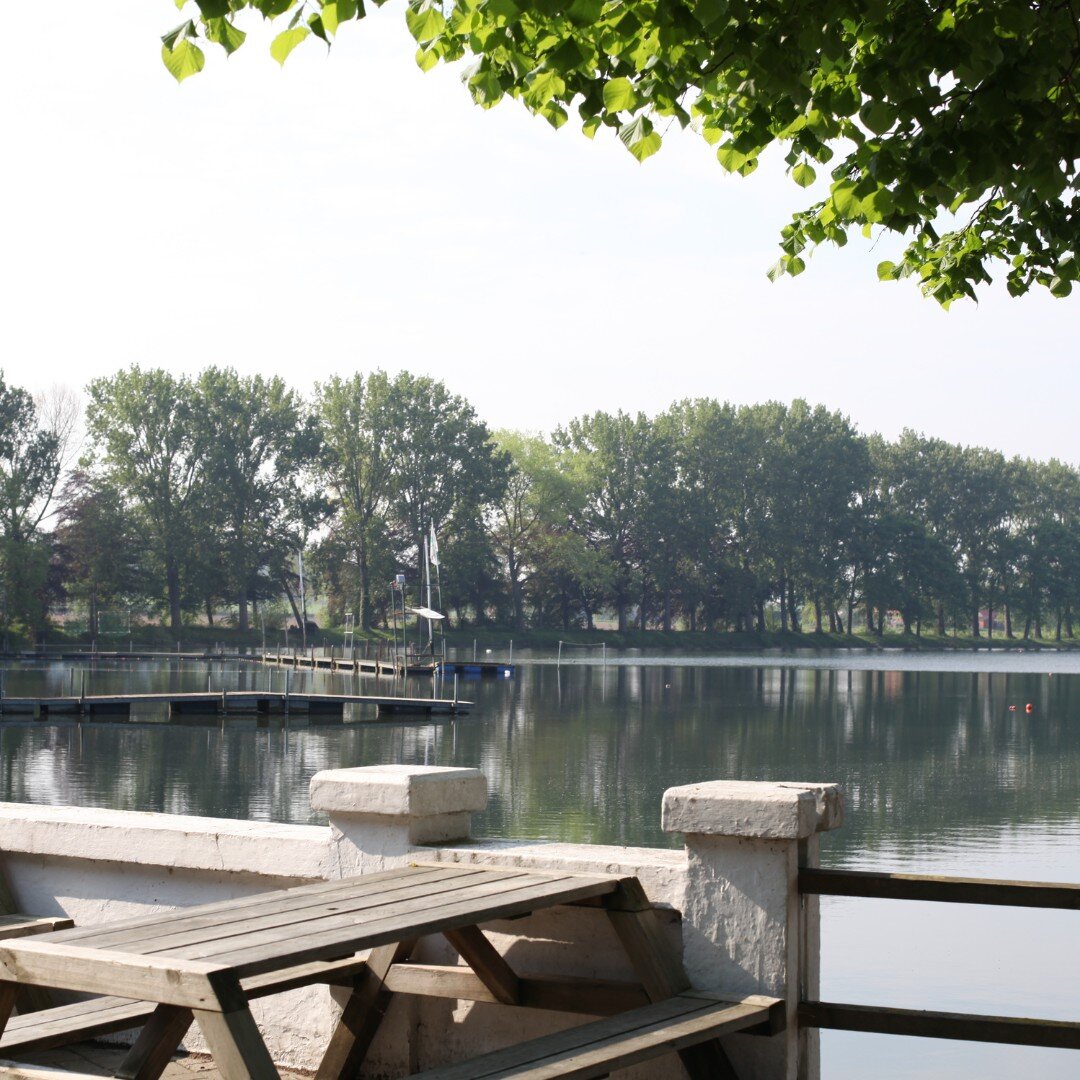 Ook zin om 's zomers te gaan hengelen op Dikkebusvijver? Bekijk via onderstaande link welke vergunning het best bij jou past! 
https://www.sportvisserijvlaanderen.be/dikkebus