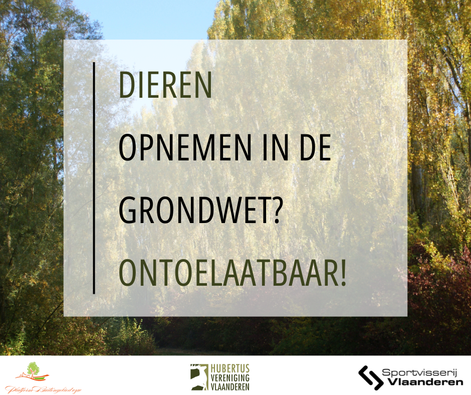 DIEREN OPNEMEN IN DE GRONDWET? ONTOELAATBAAR!