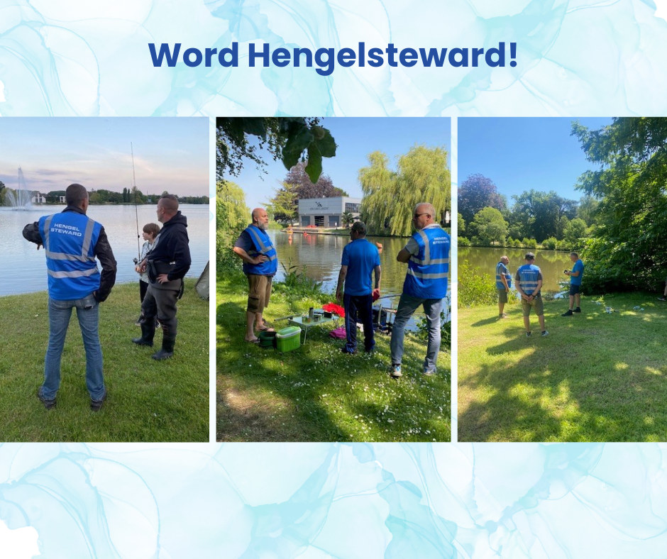 Stewardproject in de kijker!