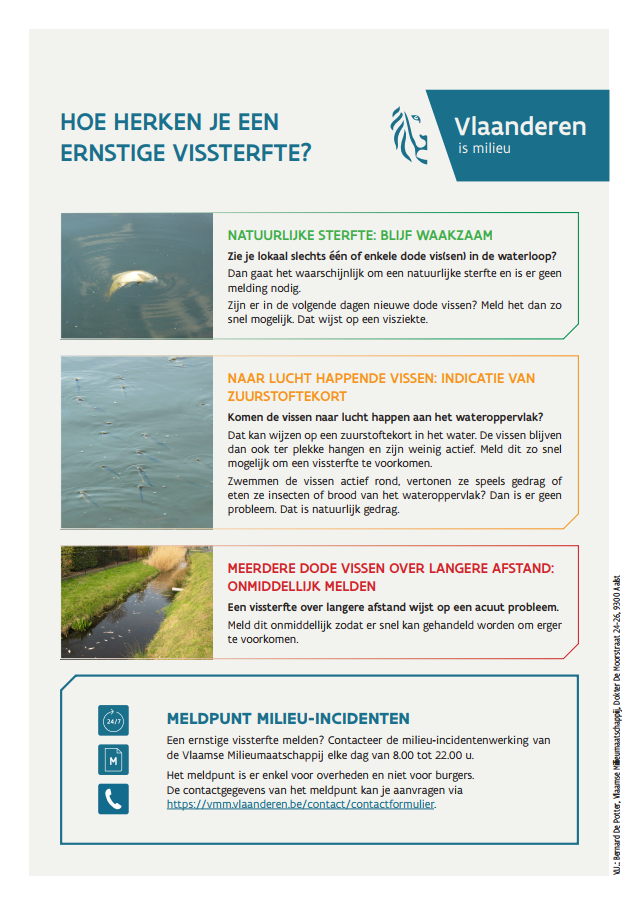 Hoe herken je een ernstige vissterfte?  