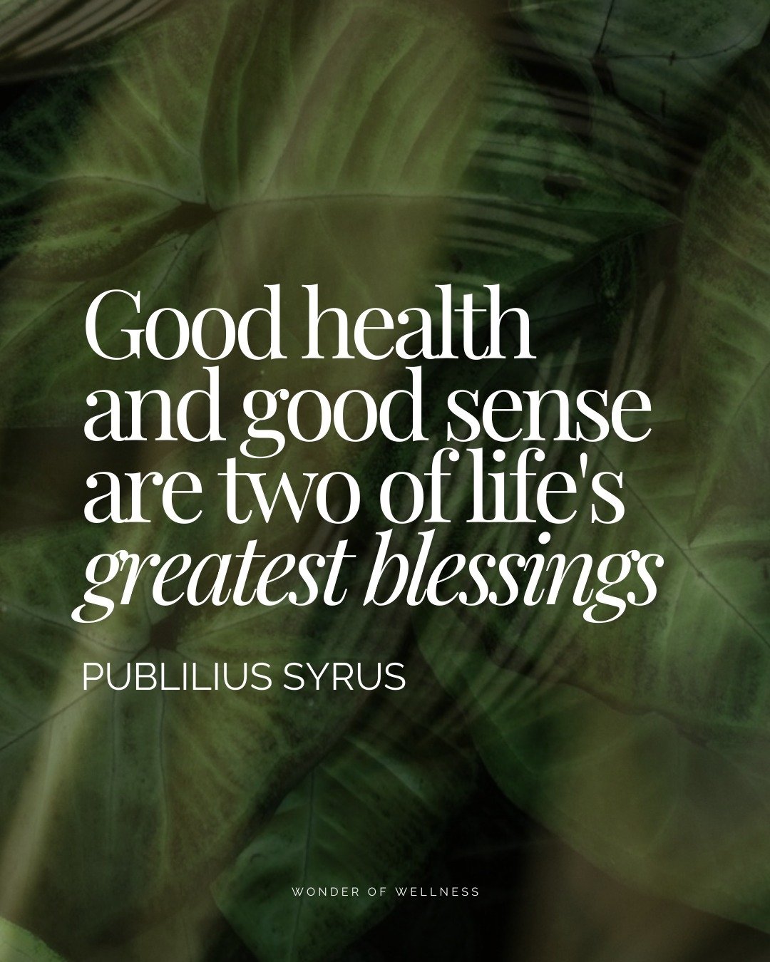 Cheers to life's greatest blessings: good health and good sense! 🌿

We saw this quote on a card and absolutely loved it. We couldn't agree more. 

Let's value these simple joys and being open enough to receive what life is trying to share with us. F