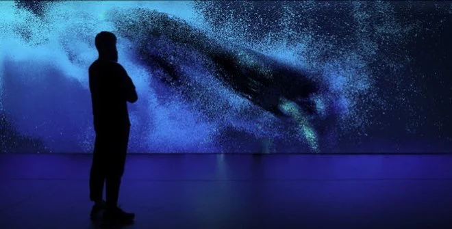 Ecos del Océano/ Echos of the Ocean